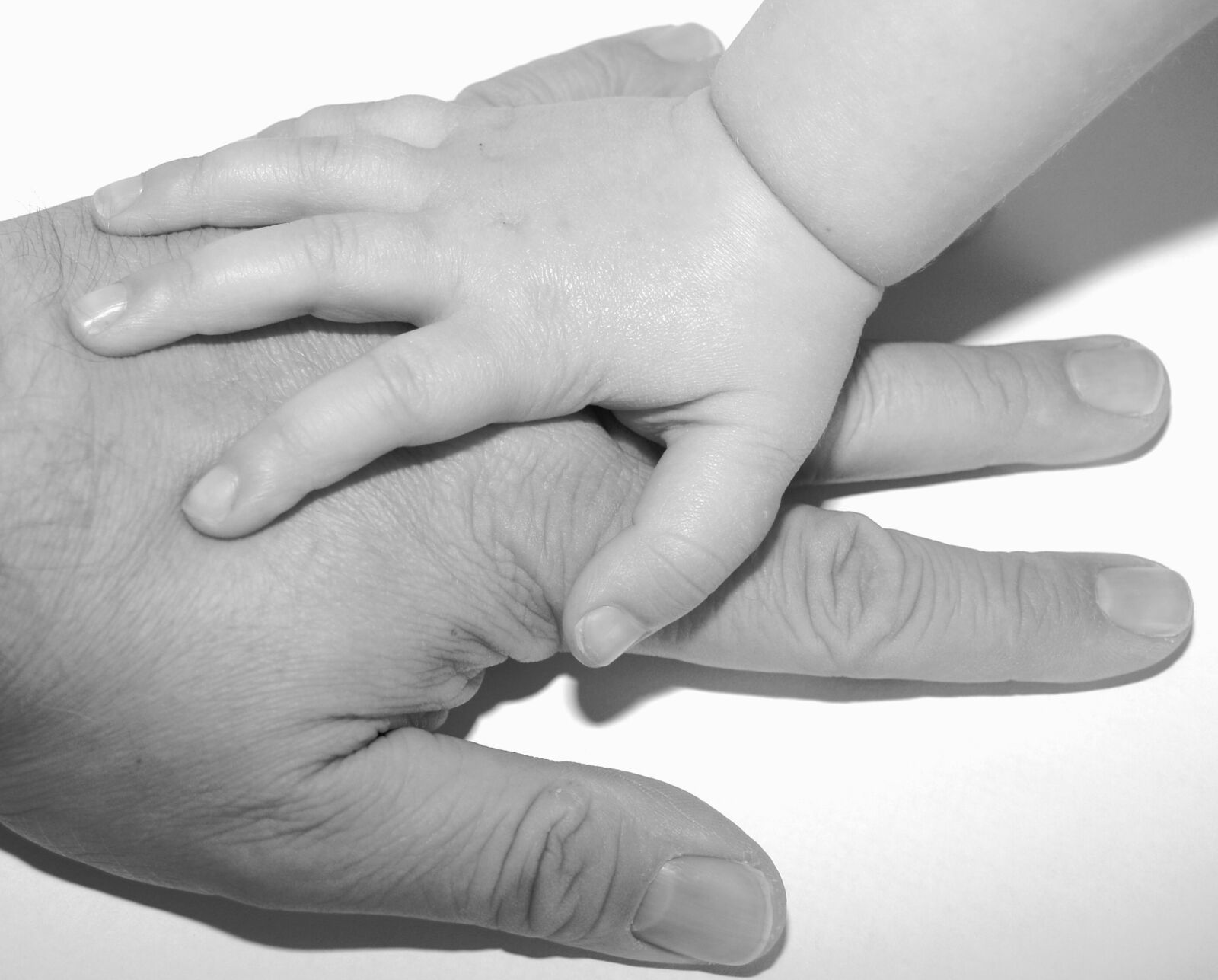 Olympus E-300 (EVOLT E-300) sample photo. Hands, child, dad photography