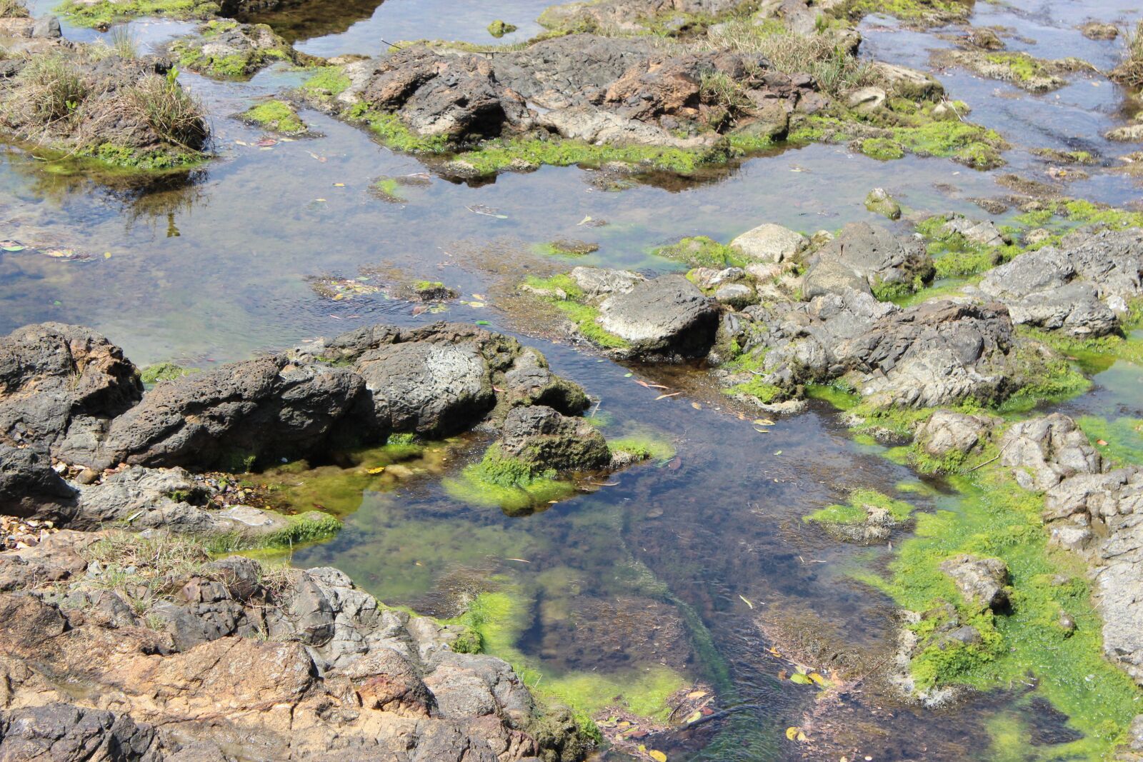 Canon EOS 600D (Rebel EOS T3i / EOS Kiss X5) sample photo. Creek, rocks, stream photography