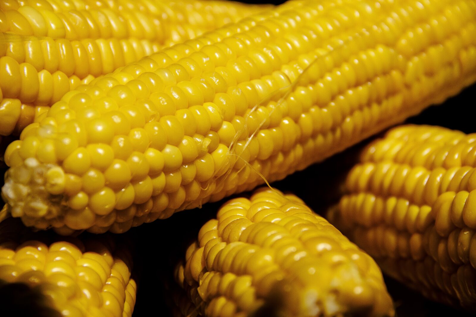 Canon EOS 650D (EOS Rebel T4i / EOS Kiss X6i) sample photo. Corn, vegetable, vegetables photography