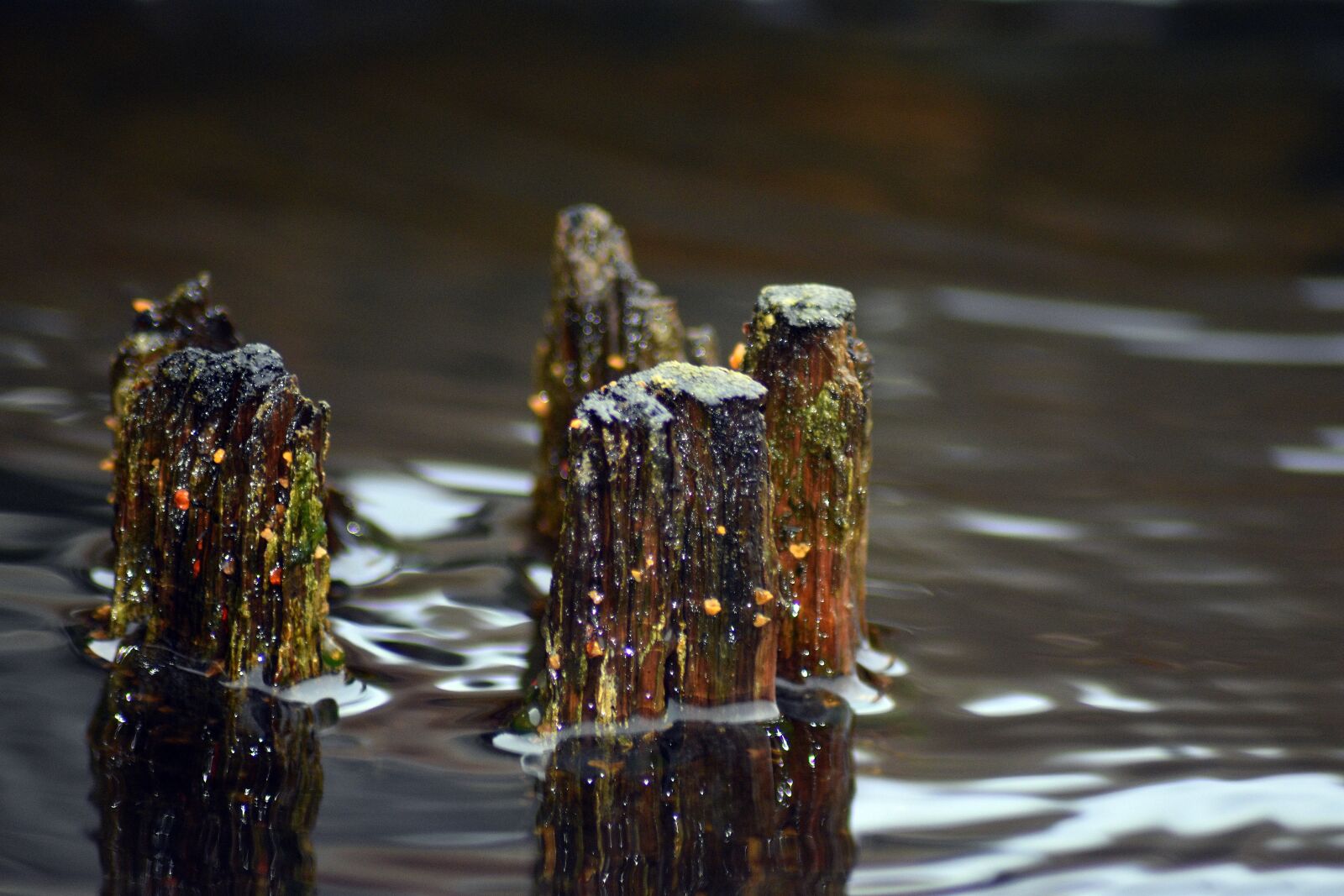 Nikon D3400 sample photo. Lake, reflection, water photography