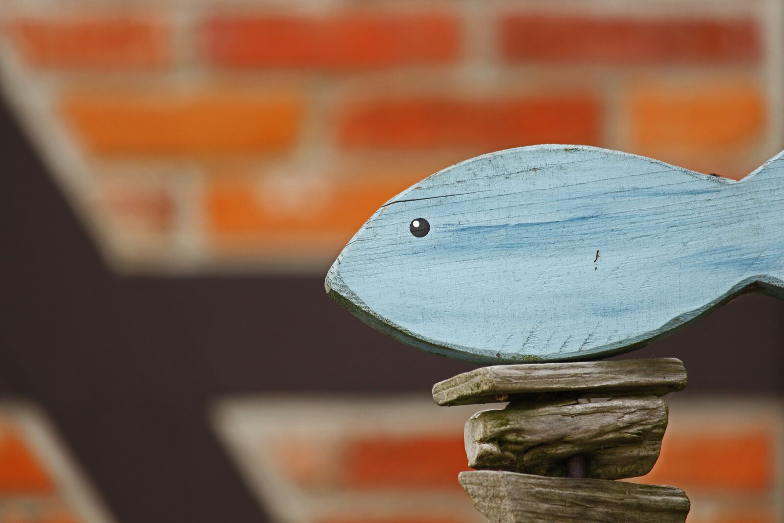 Canon EF-S 55-250mm F4-5.6 IS STM sample photo. Holzdeko, gartendeko, wood fish photography