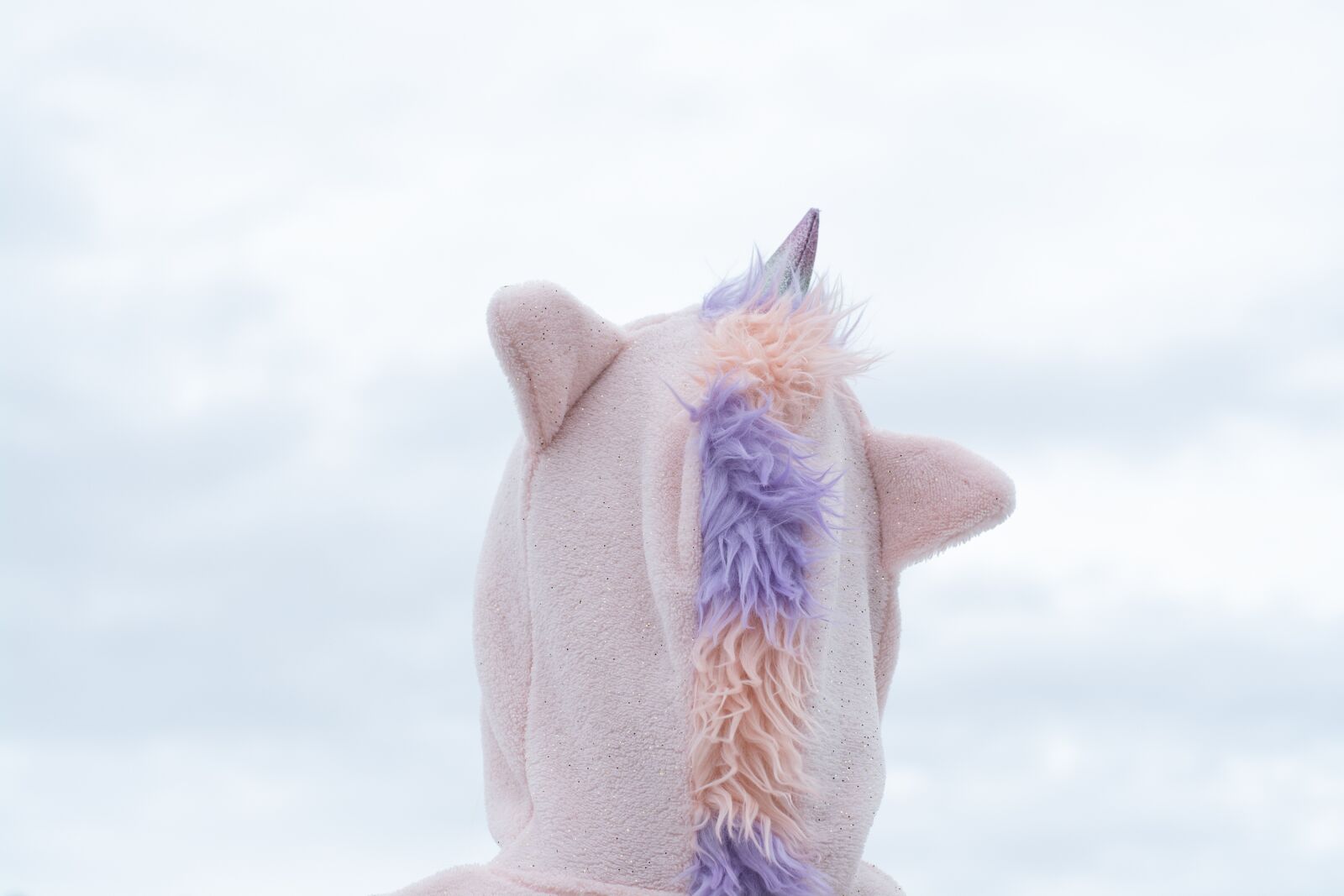 Nikon D7100 sample photo. Unicorn, costume, carnival photography