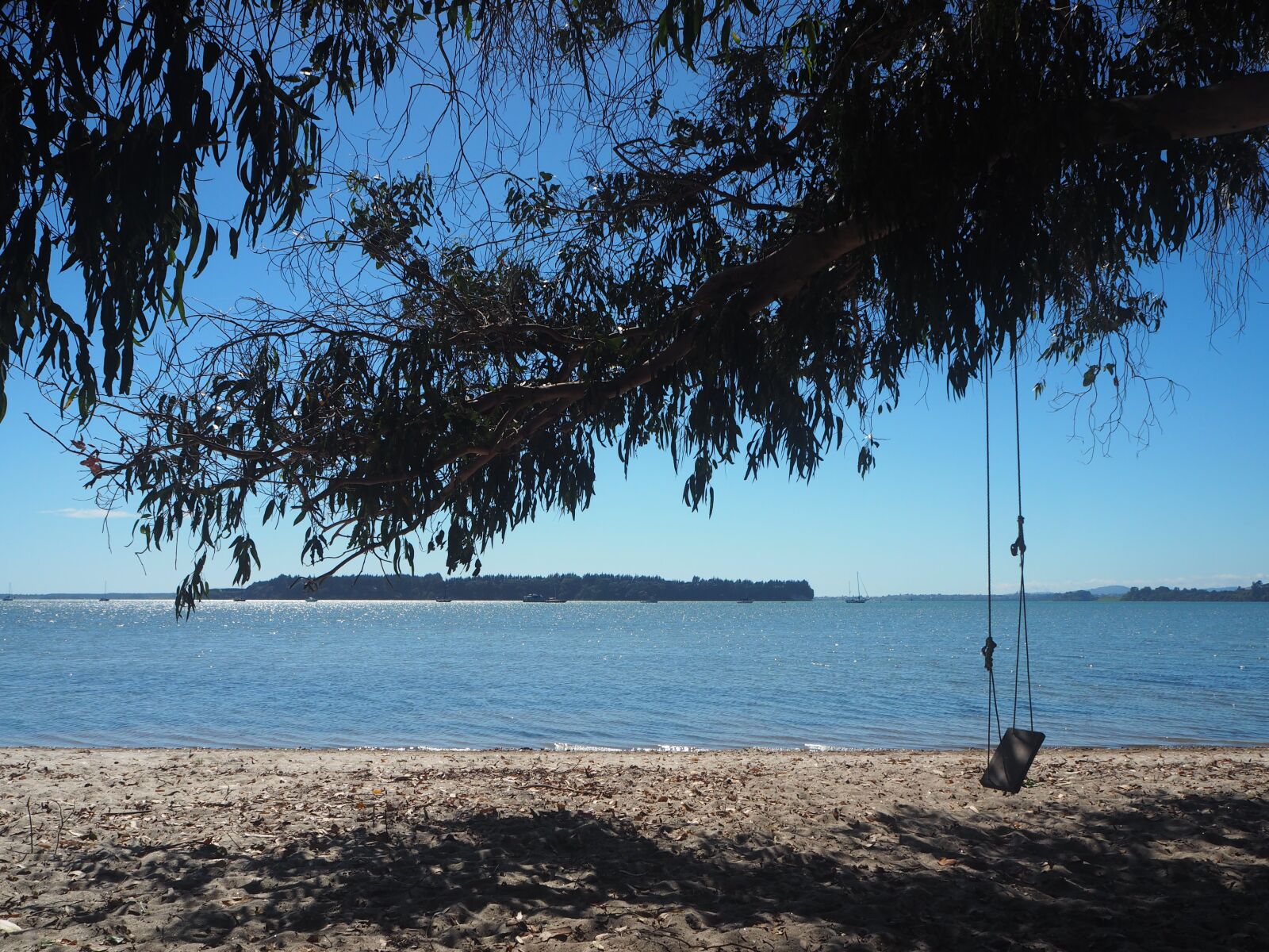 Olympus OM-D E-M10 sample photo. Swing, sea, beach photography