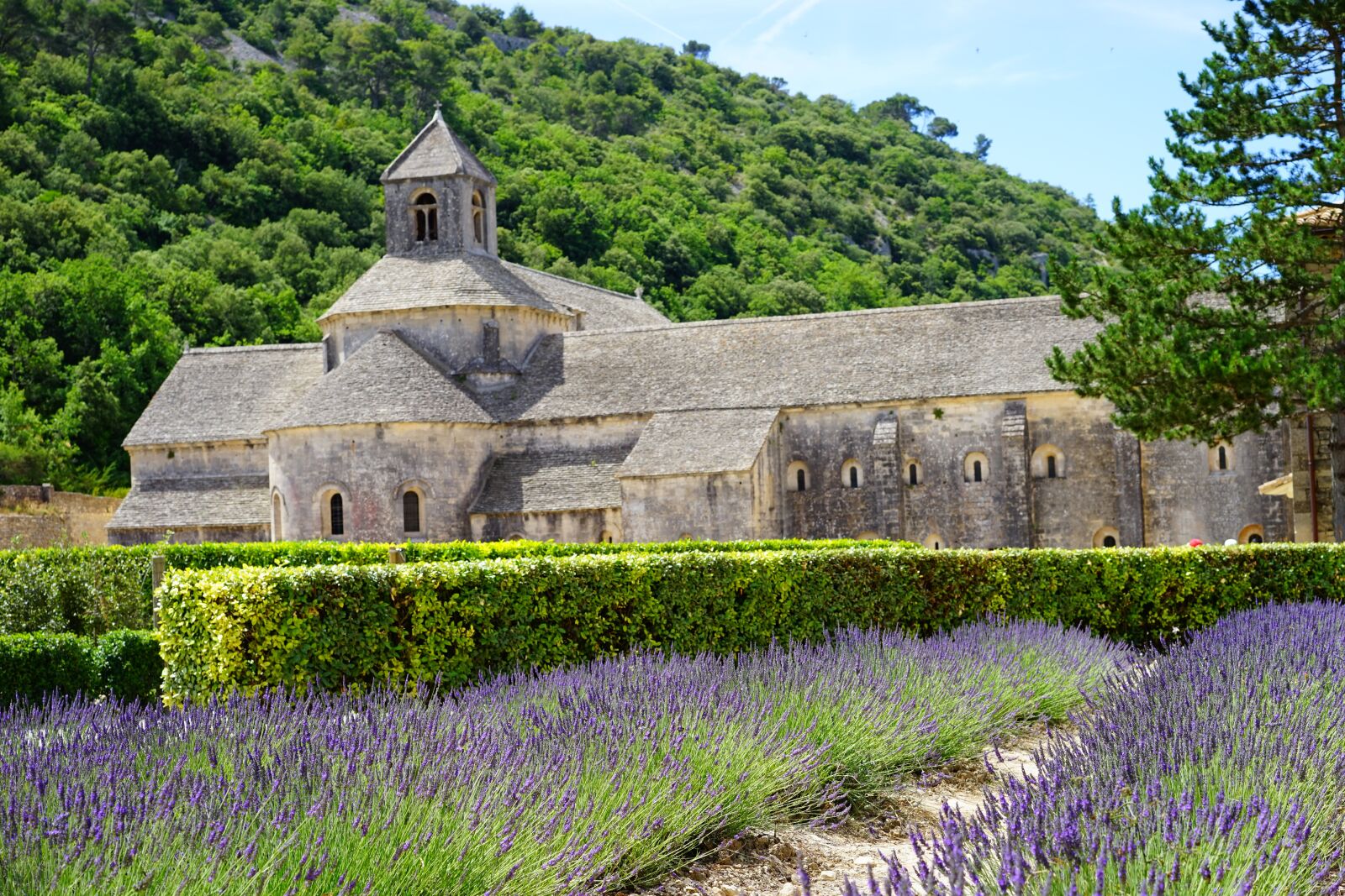 Sony a7 + Sony Sonnar T* FE 55mm F1.8 ZA sample photo. Abbaye de s nanque photography