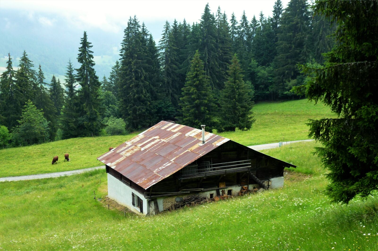 Panasonic Lumix DMC-ZS10 (Lumix DMC-TZ20 / Lumix DMC-TZ22) sample photo. Nature, france, alps photography