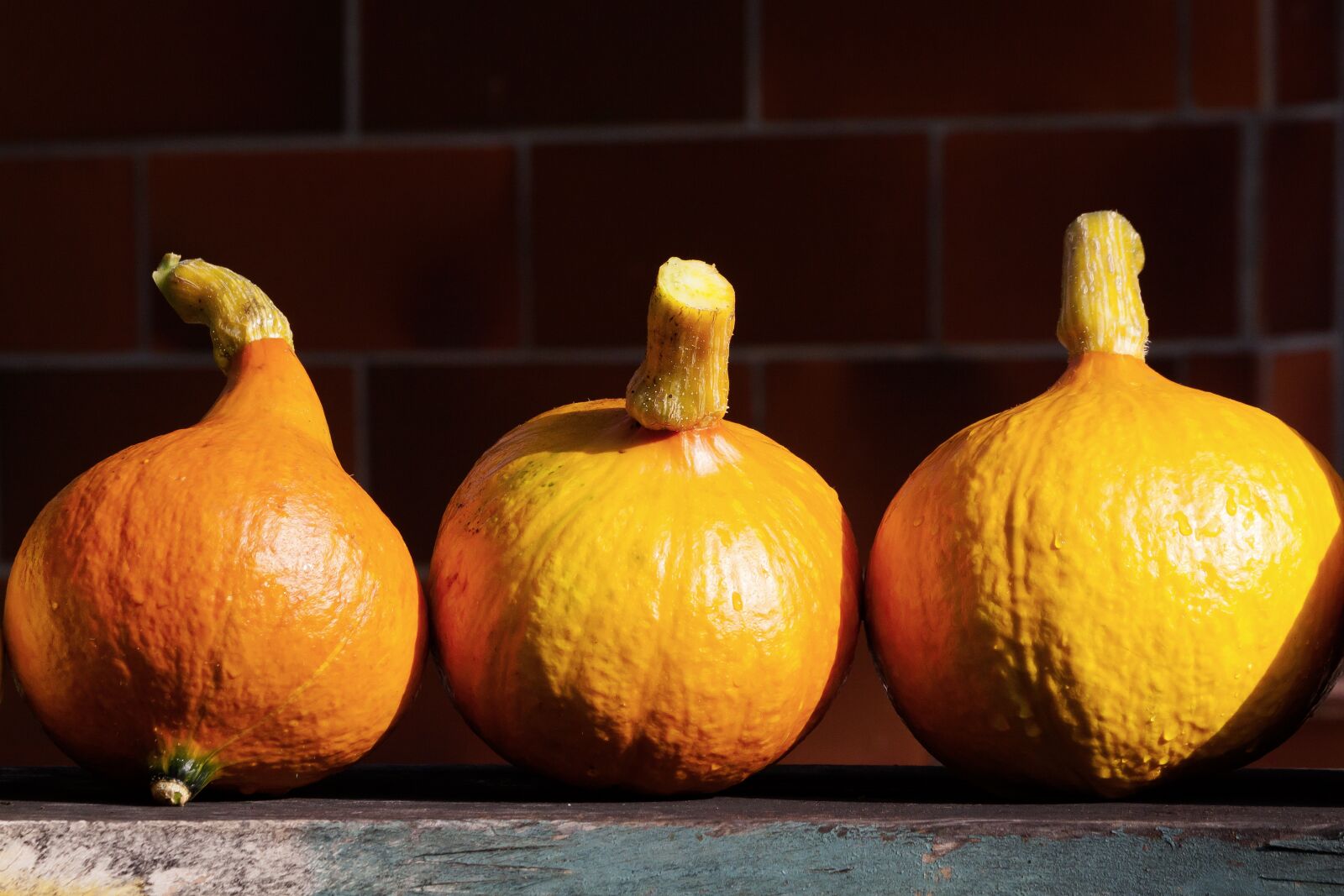 Canon EOS 50D sample photo. Pumpkin, hokkaido, vegetables photography