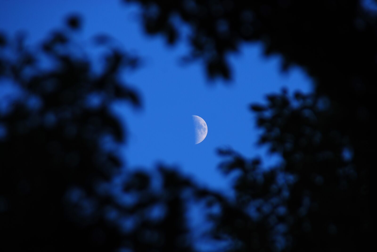 Nikon D40X sample photo. Moon, sky, light photography