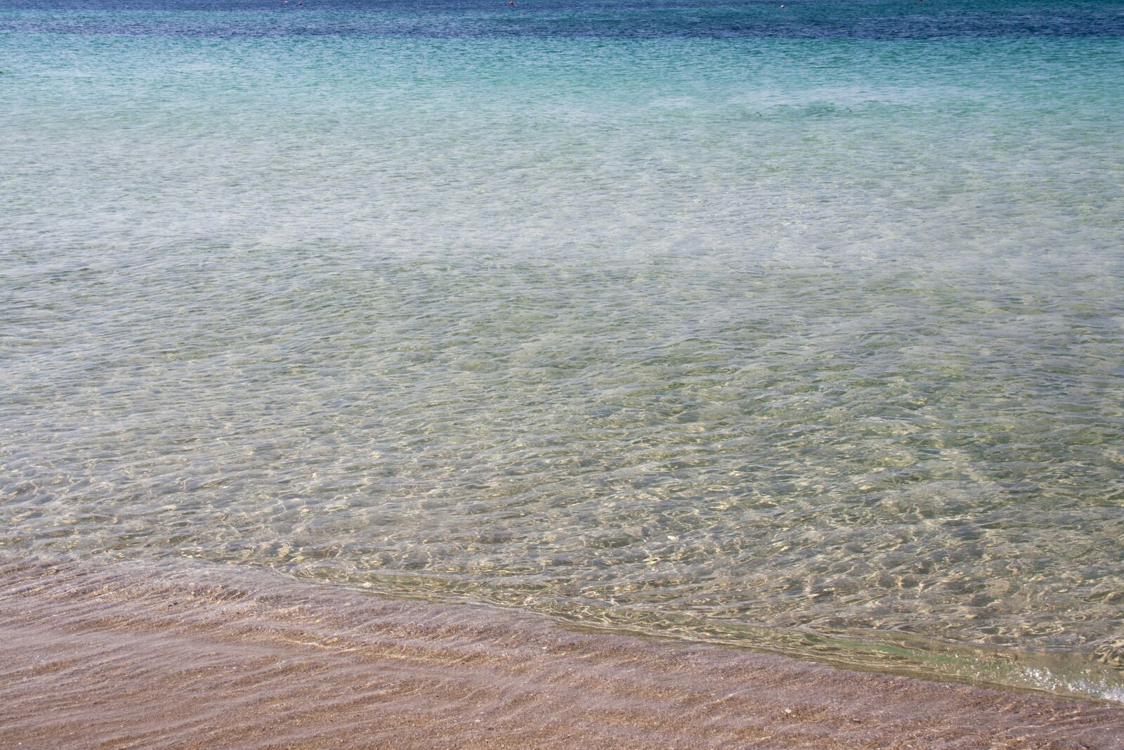 Canon EOS 350D (EOS Digital Rebel XT / EOS Kiss Digital N) sample photo. Sea, salento, sand photography