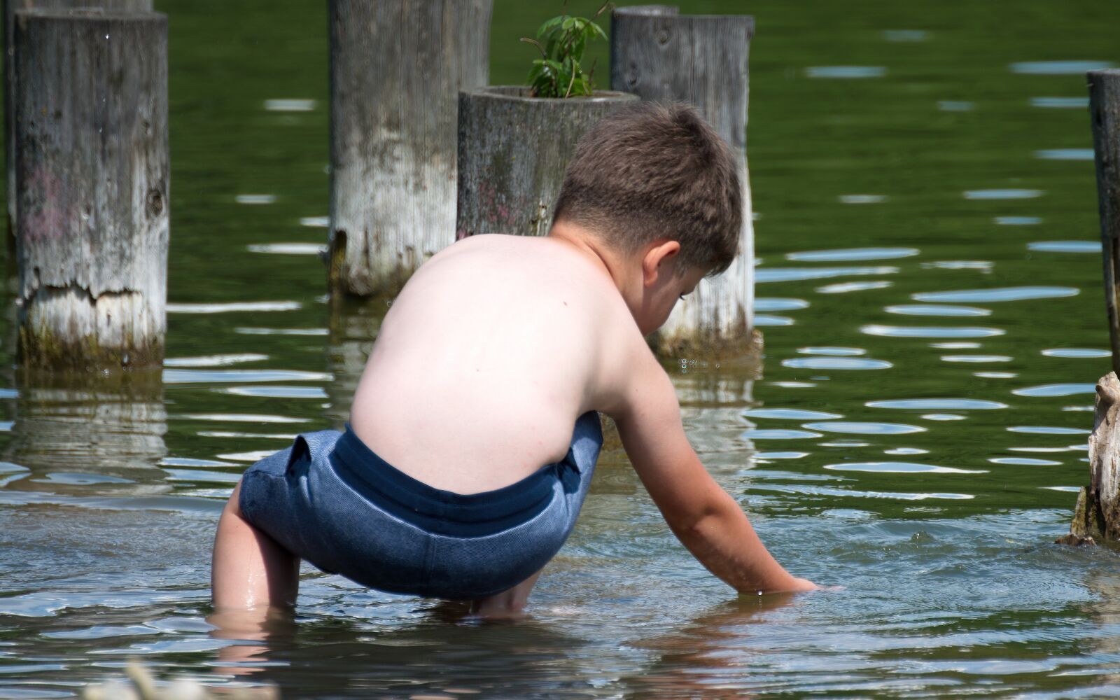 Nikon D5300 sample photo. Child, the little boy photography