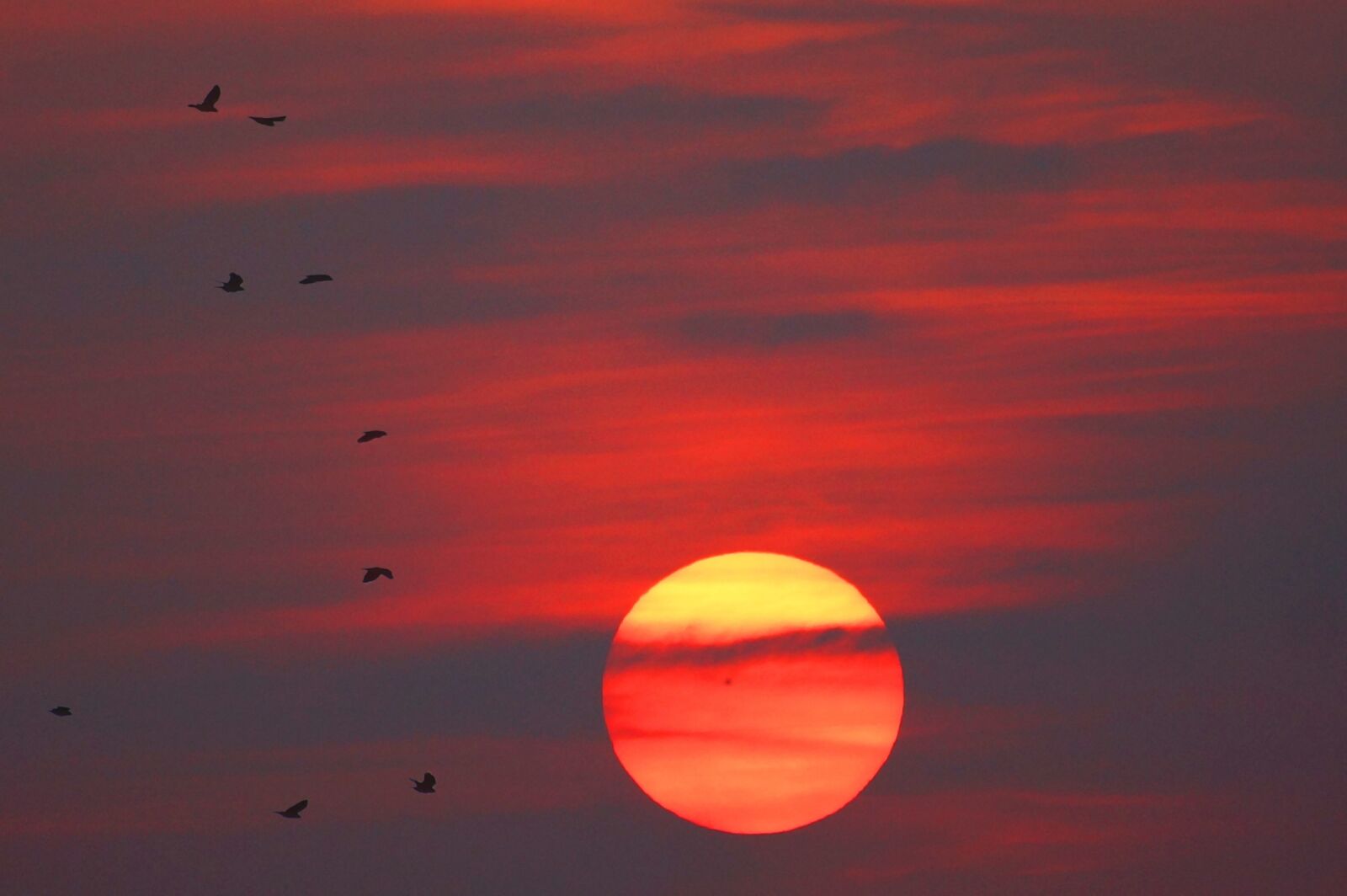 Sony SLT-A65 (SLT-A65V) sample photo. Sunset, sky, west photography