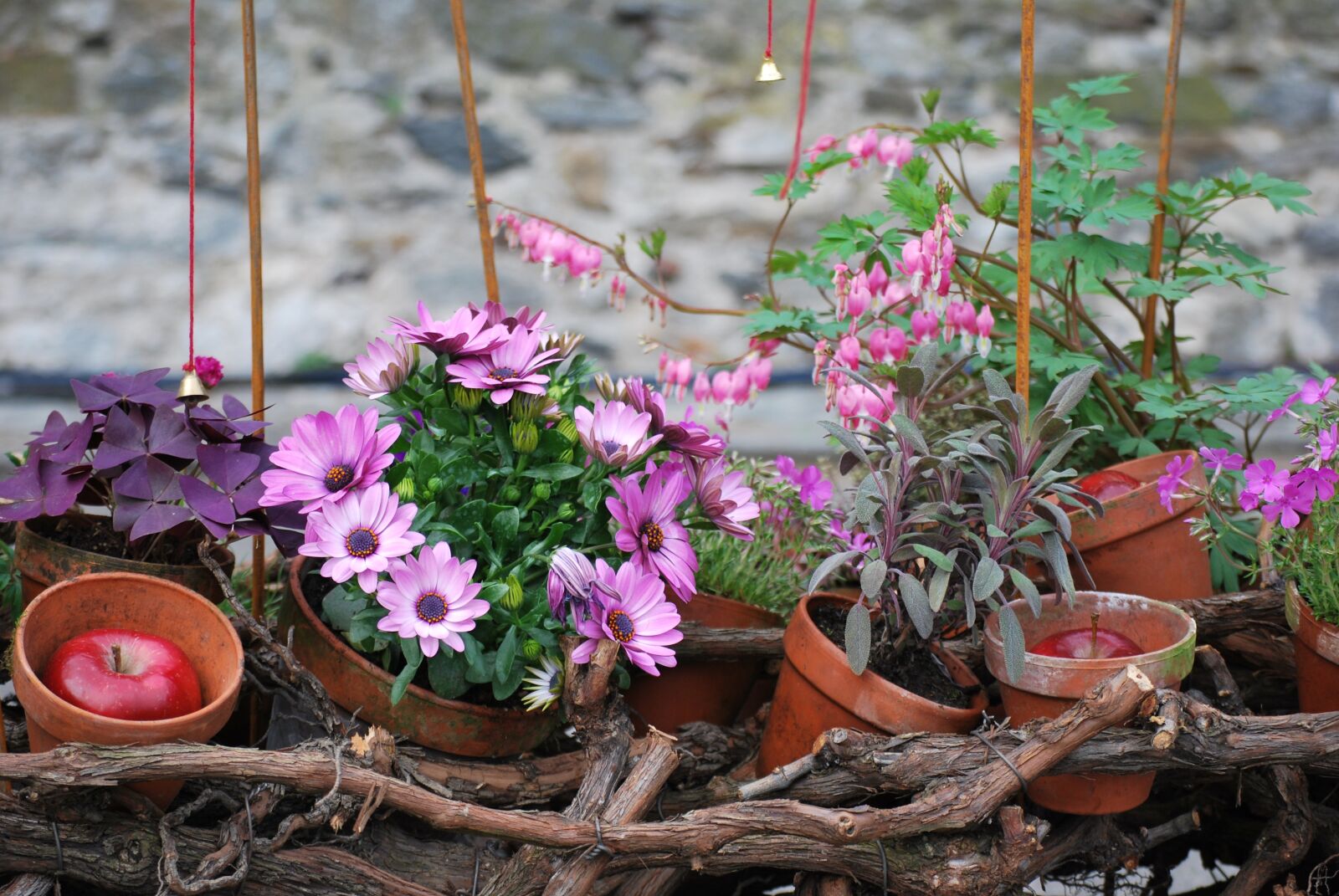 Nikon D60 sample photo. Spring, flowers, vase photography