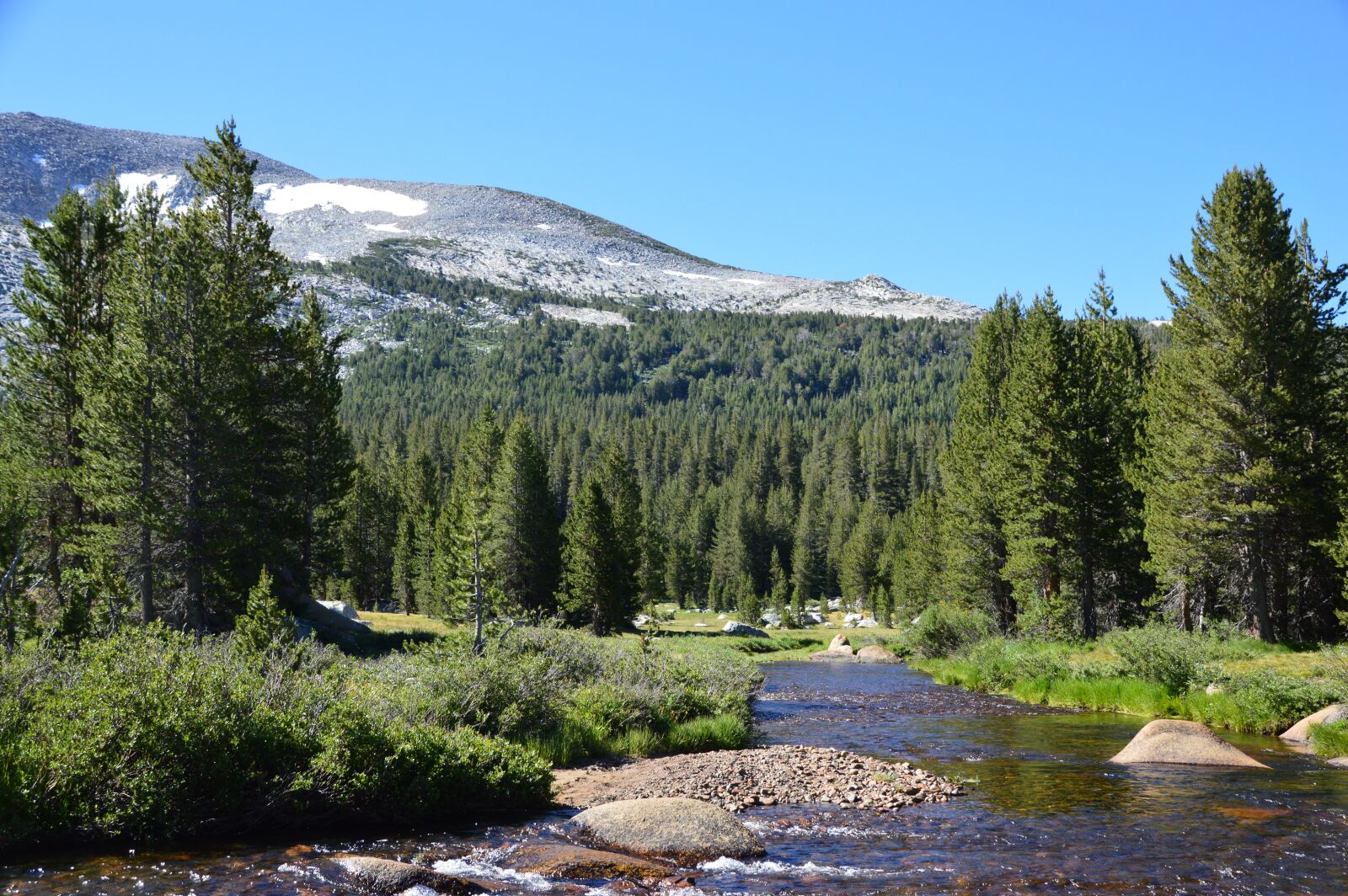 Nikon D3200 sample photo. Yosemite, national park, yosemite photography