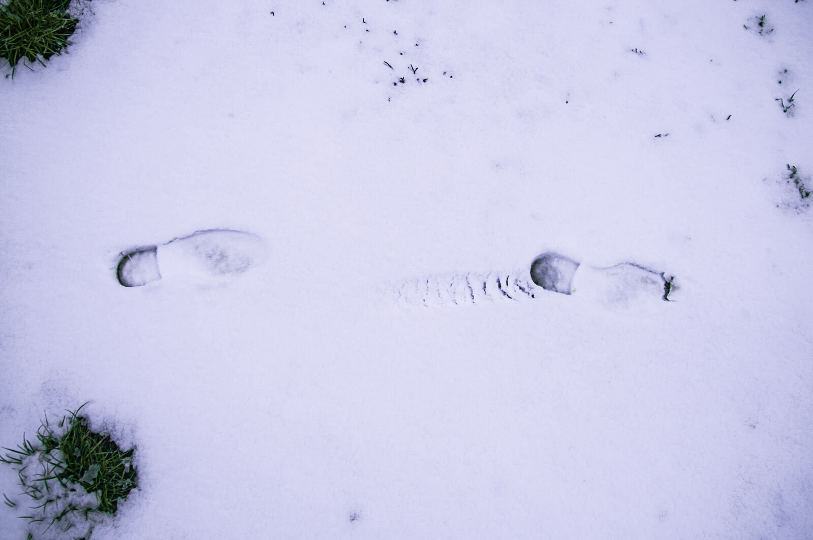 KONICA MINOLTA DYNAX 7D sample photo. Cold, footstep, outdoors, snow photography