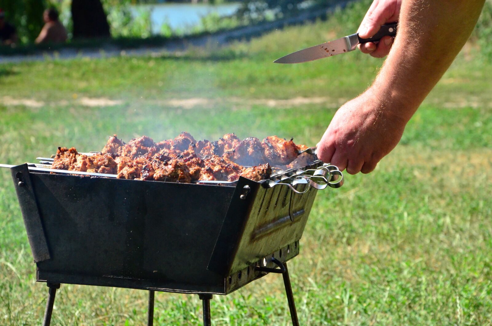 Nikon D5100 sample photo. Shish kebab, tasty, fried photography