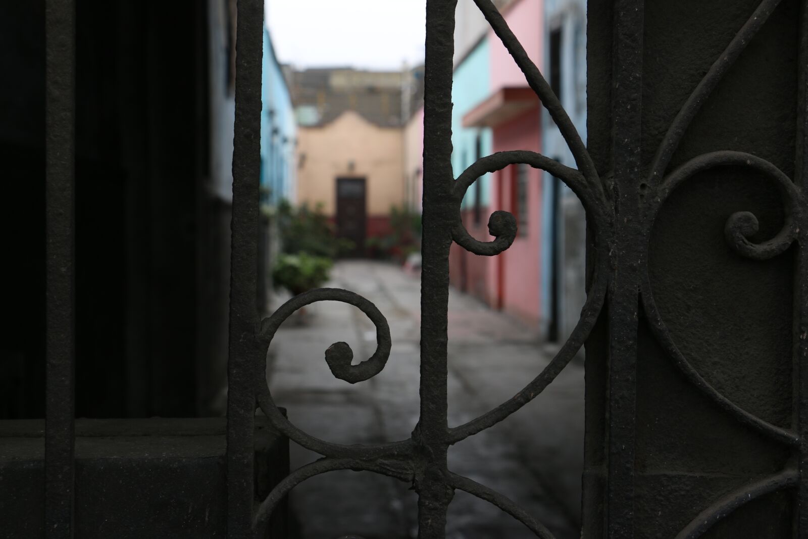 Canon EOS 70D sample photo. City, lime, bars photography