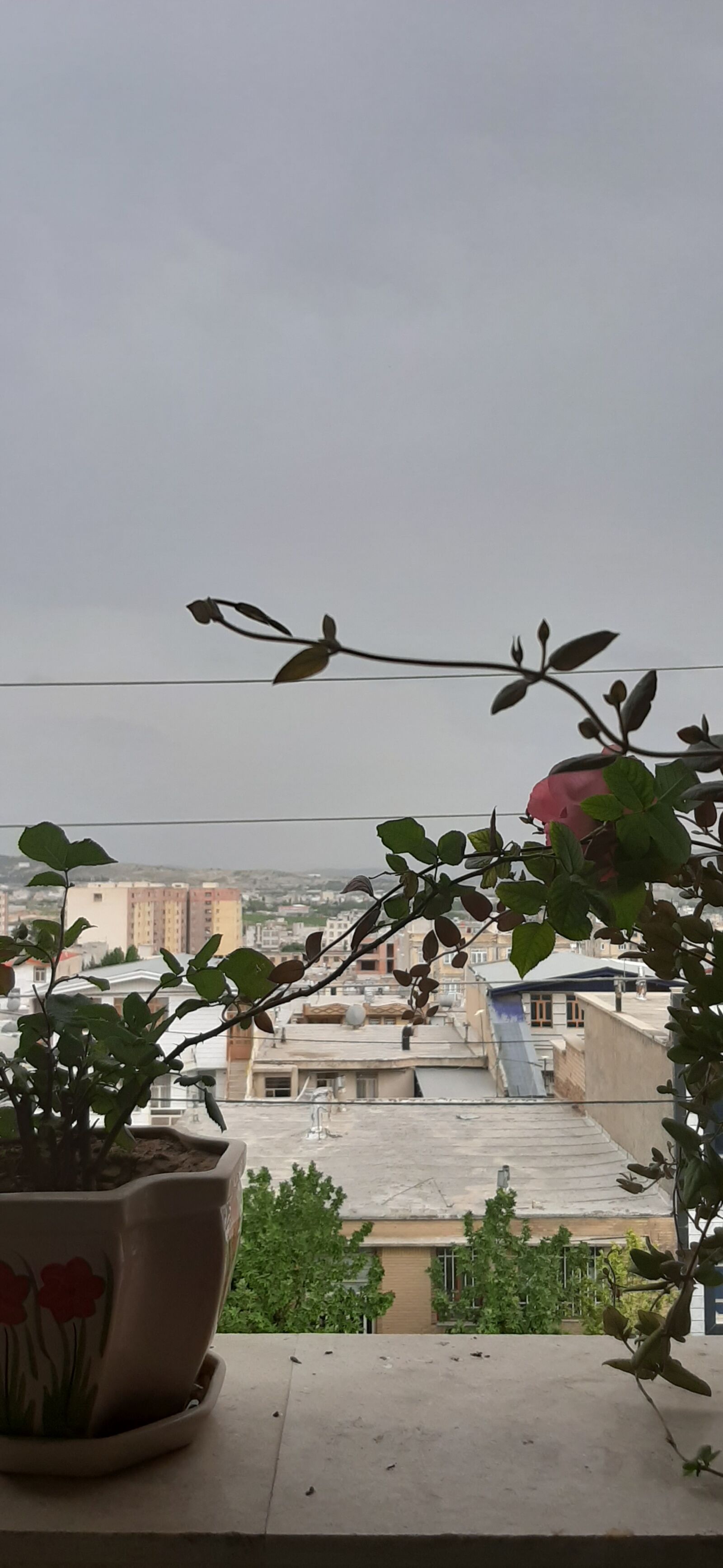 Samsung Galaxy A50 sample photo. Cloudy sky, flowerpot, city photography