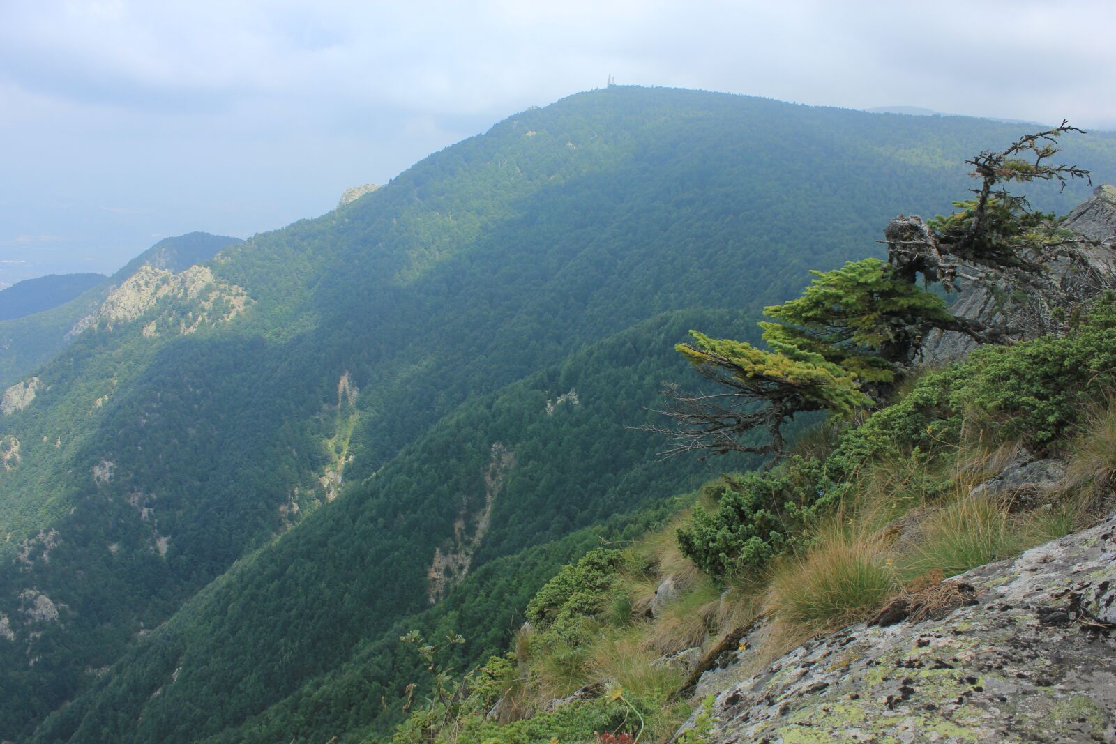 Canon EOS 550D (EOS Rebel T2i / EOS Kiss X4) sample photo. Mountain, tree, nature photography