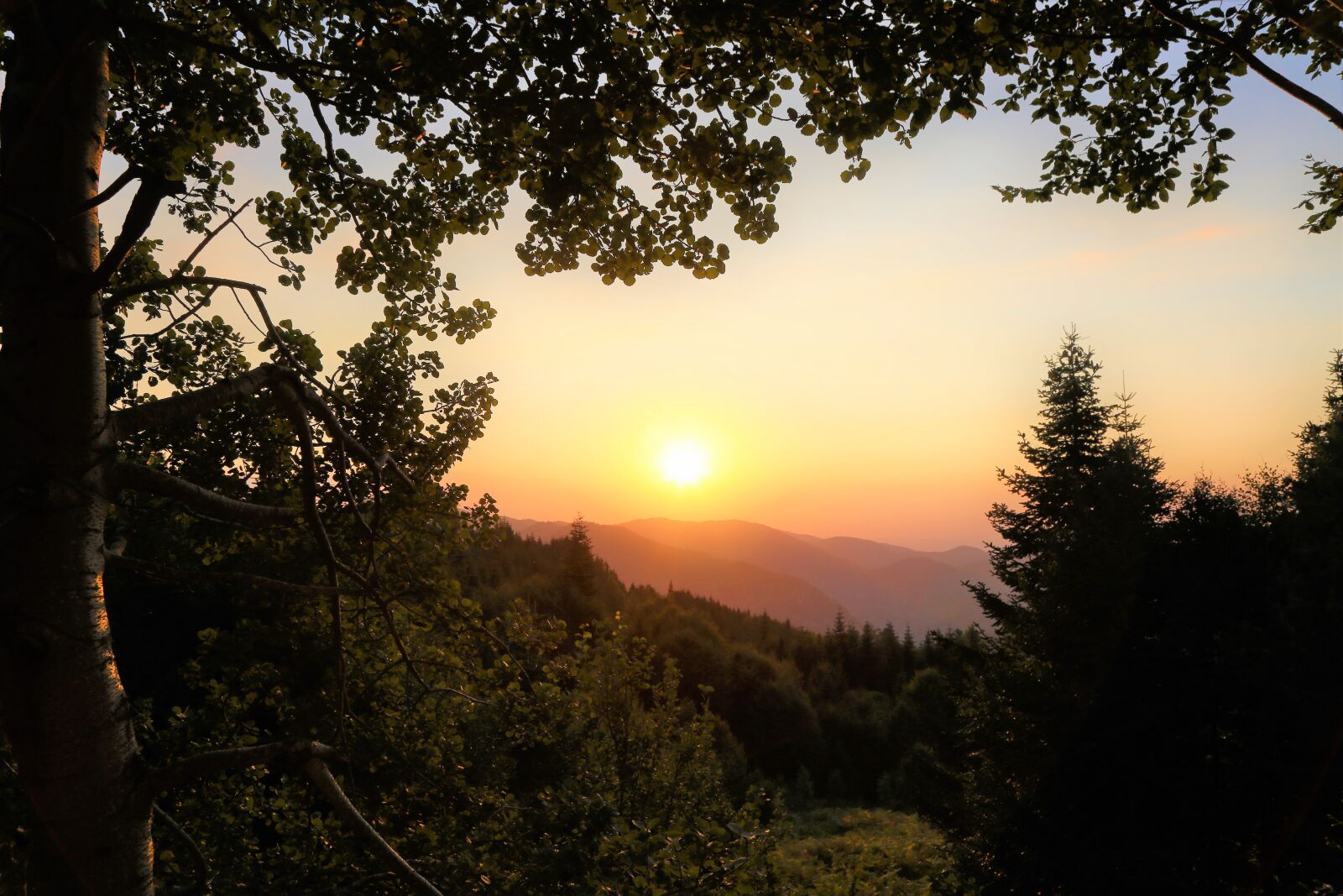 Canon EF 24-105mm F4L IS USM sample photo. Sunset, in the evening photography