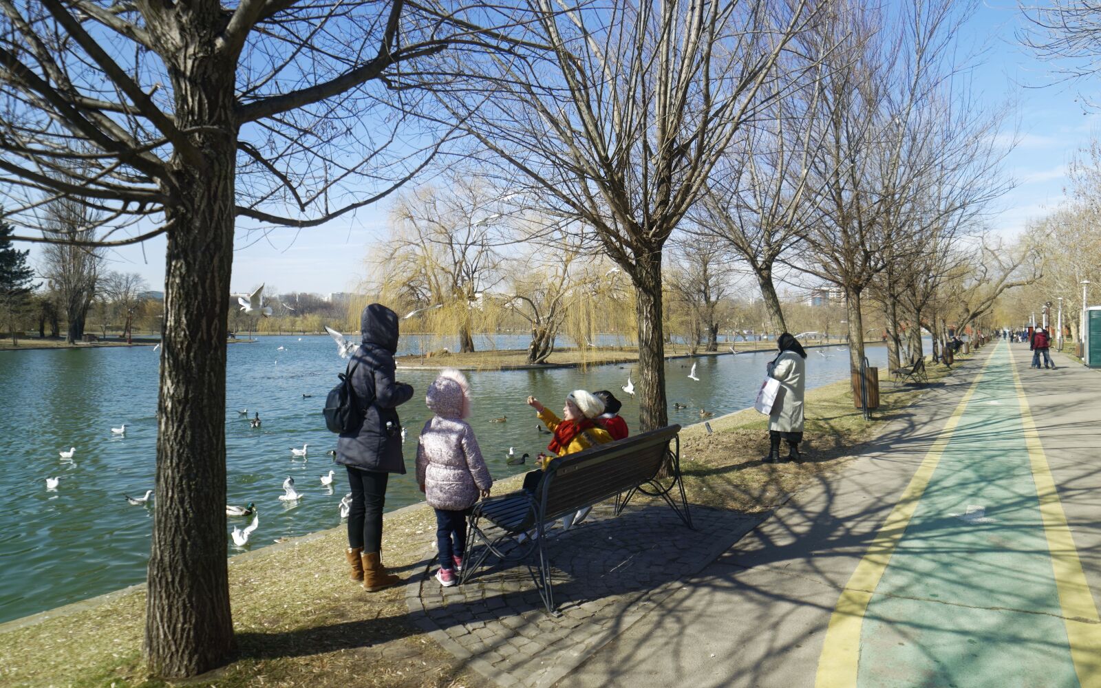 Nikon D5300 sample photo. Landscape, park, winter photography