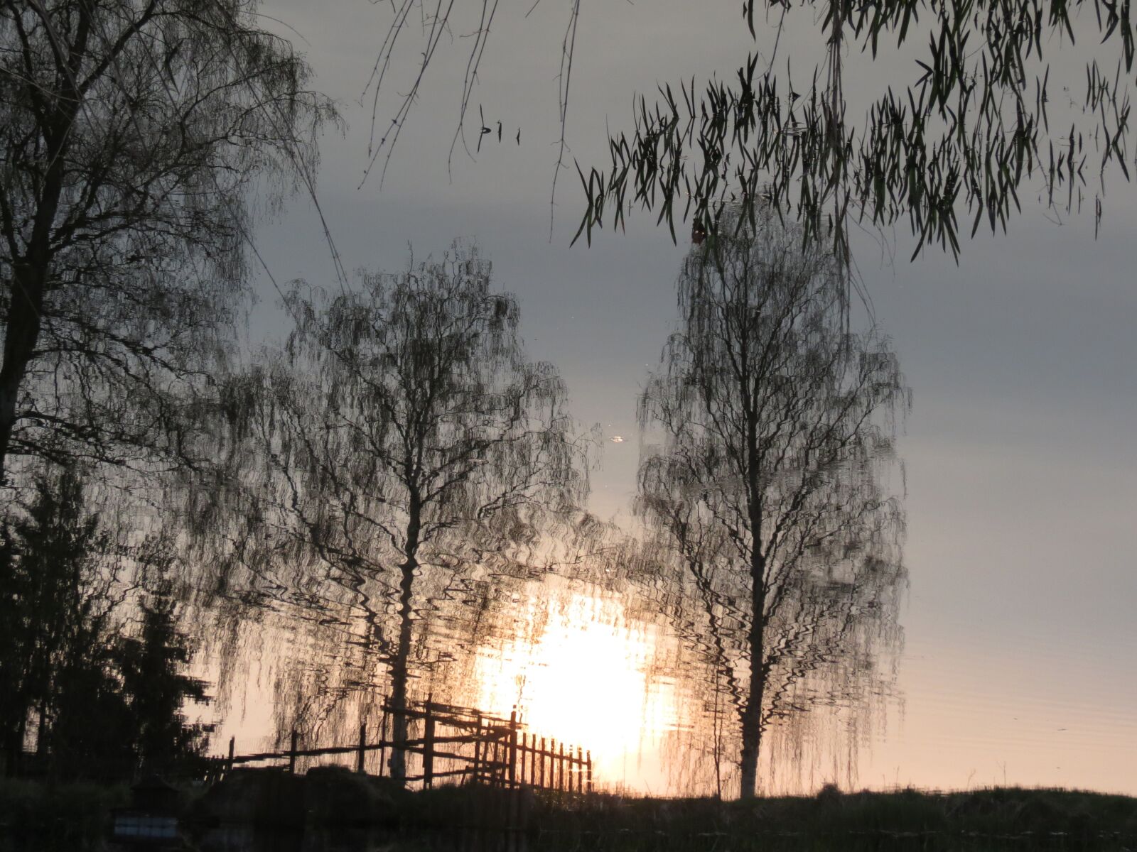 Canon PowerShot SX40 HS sample photo. Reflection, trees, sunset photography