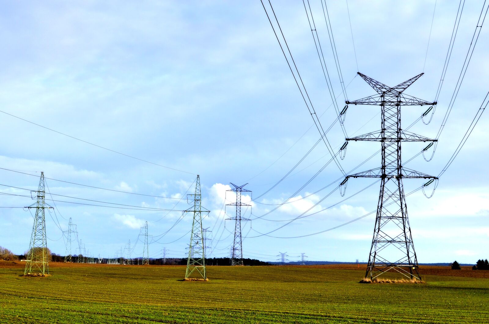 Nikon D5100 sample photo. Leżno, field, poles photography