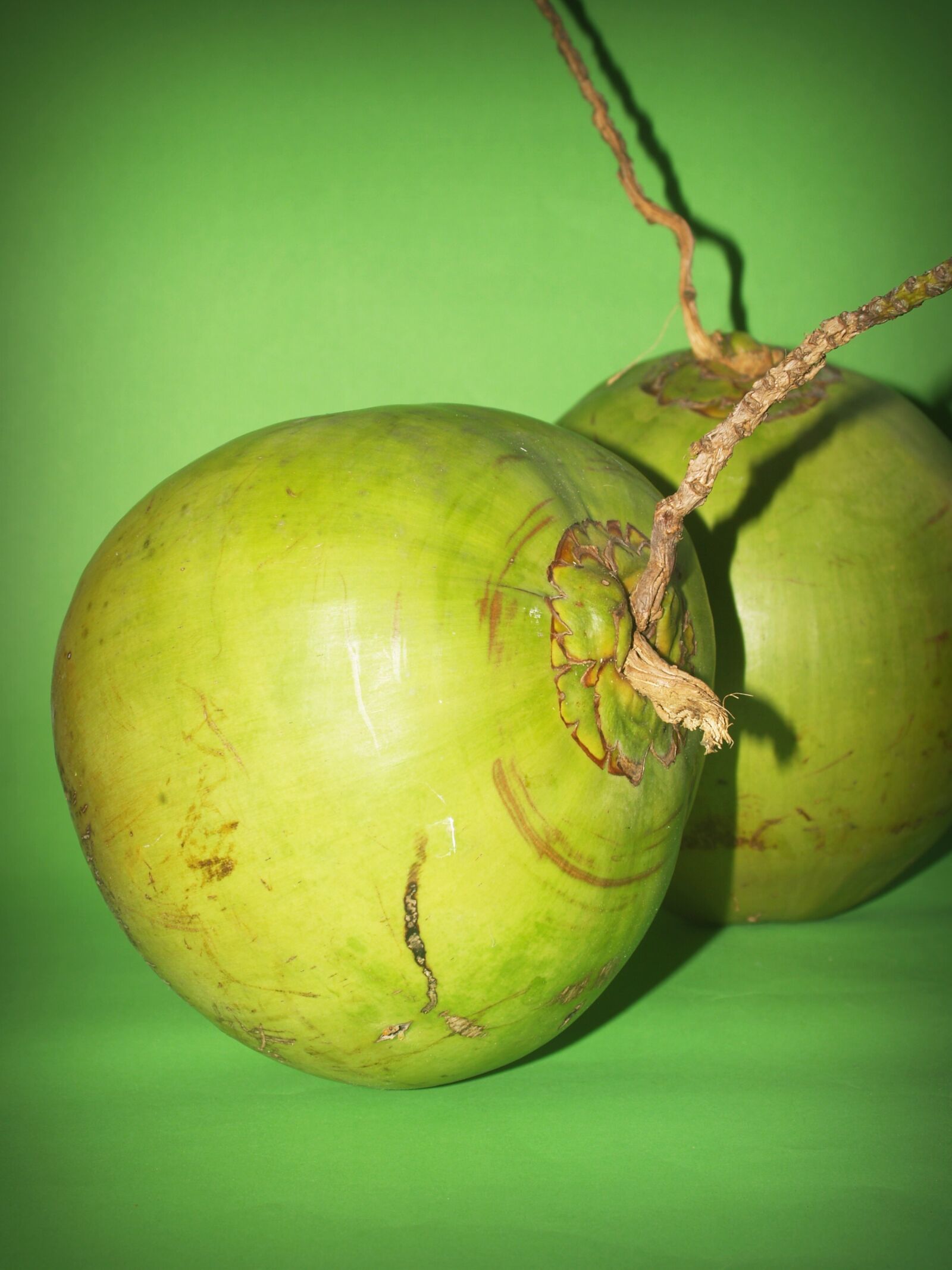 Olympus E-300 (EVOLT E-300) sample photo. Coconut, green, white photography