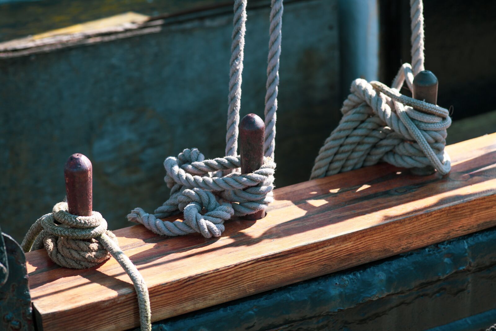 Canon EOS 5D Mark II sample photo. Thaw, ropes, knot photography