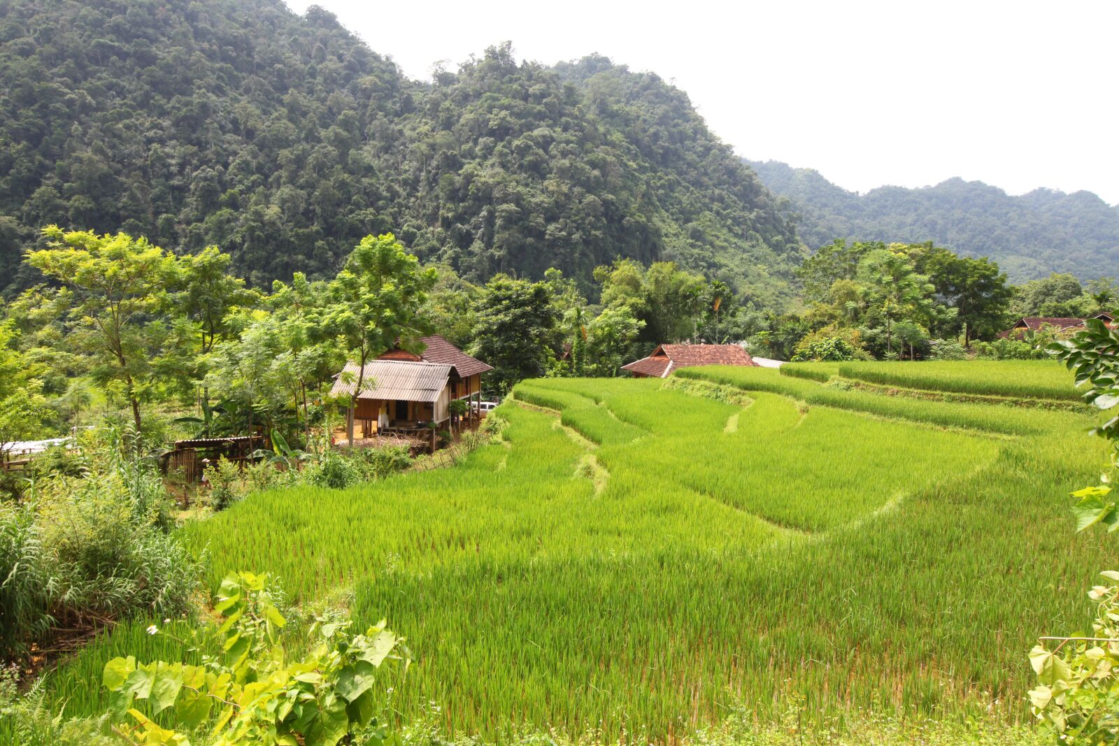 Canon EOS 5D Mark II sample photo. Rice paddies and hills photography