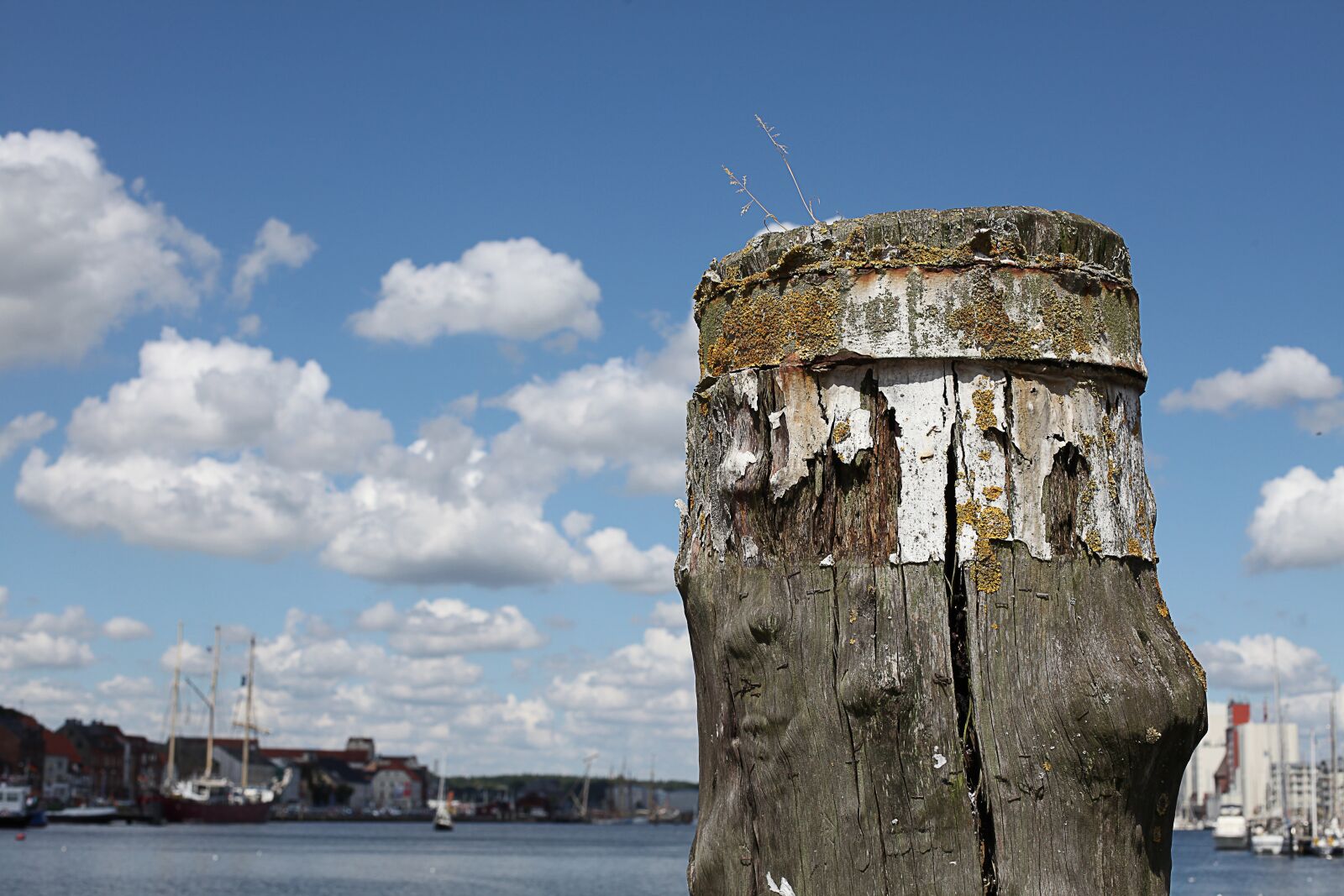 Canon EOS 5D Mark II sample photo. Bollard, summer, sky photography