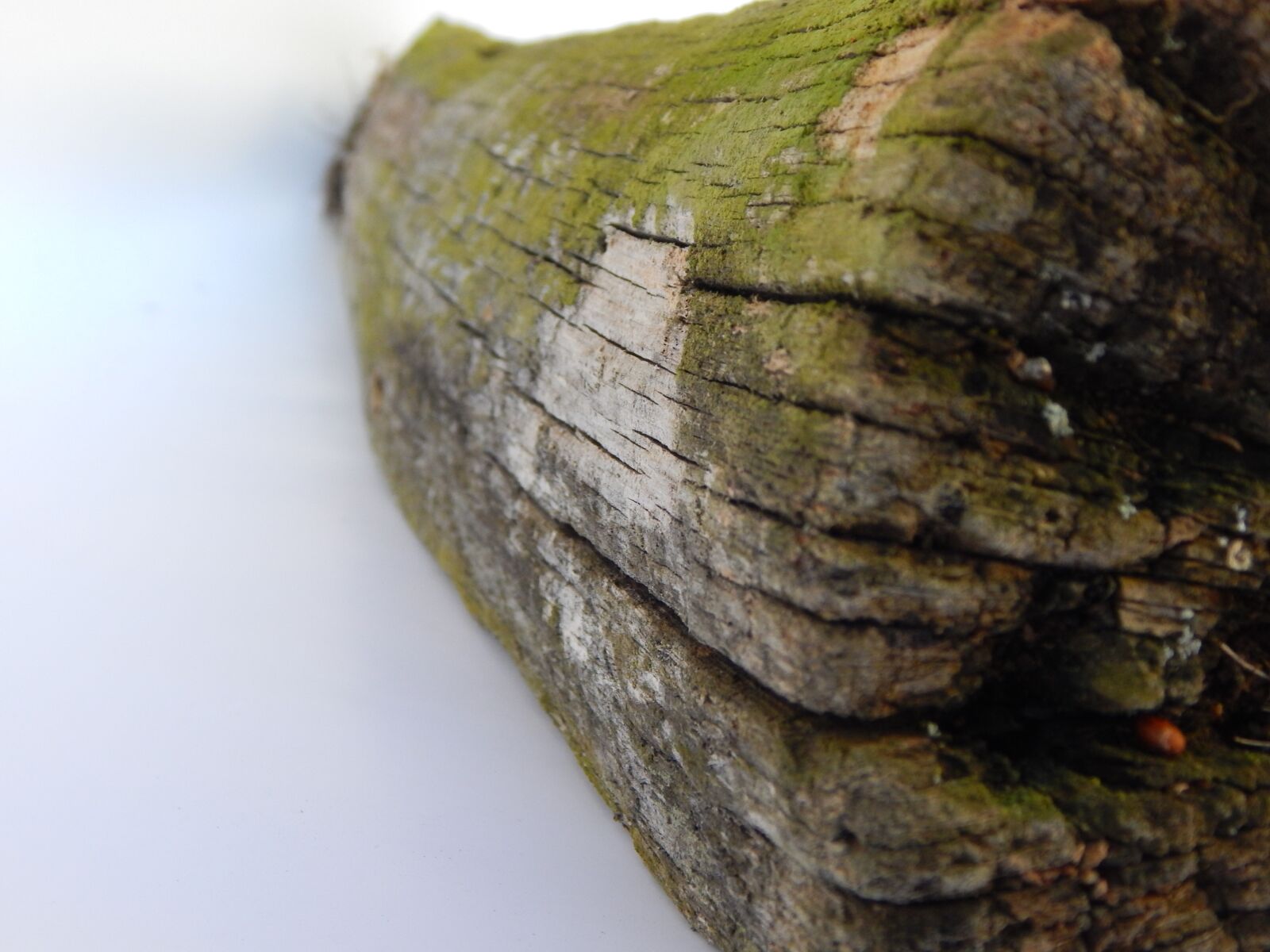 Nikon Coolpix L830 sample photo. Wood, stake, fence photography