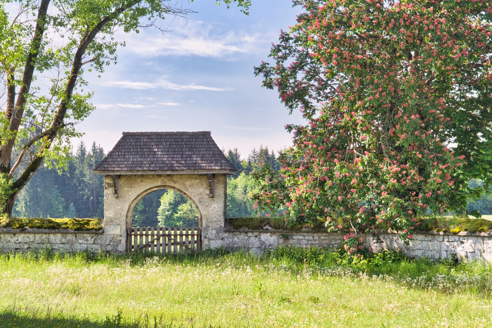 Nikon D7500 sample photo. Wall, gate, input photography