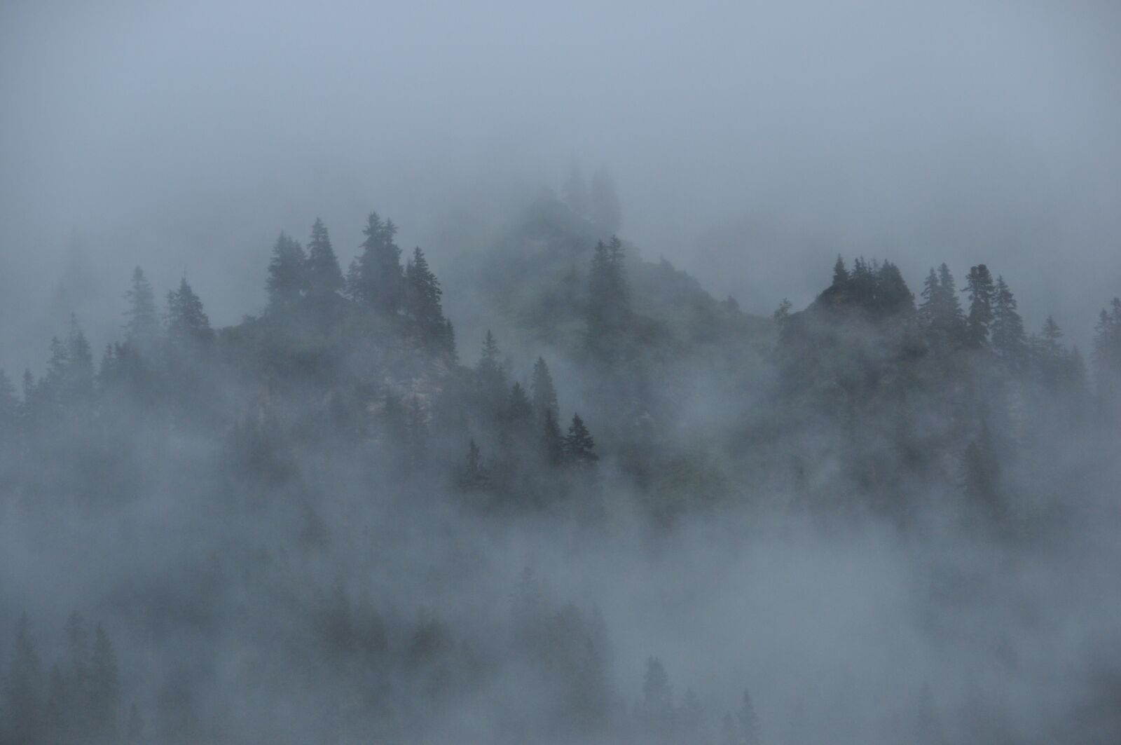 Nikon D5000 sample photo. Fog, clouds, mountains photography