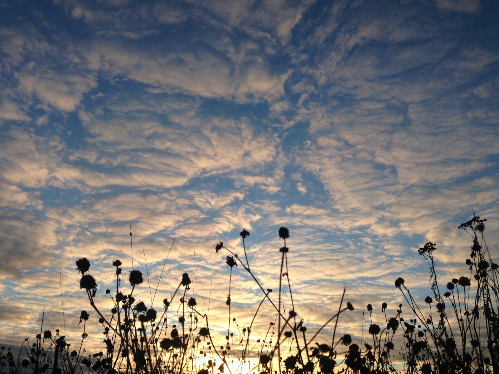iPhone 5 back camera 4.12mm f/2.4 sample photo. Sky, sunset, evening sky photography
