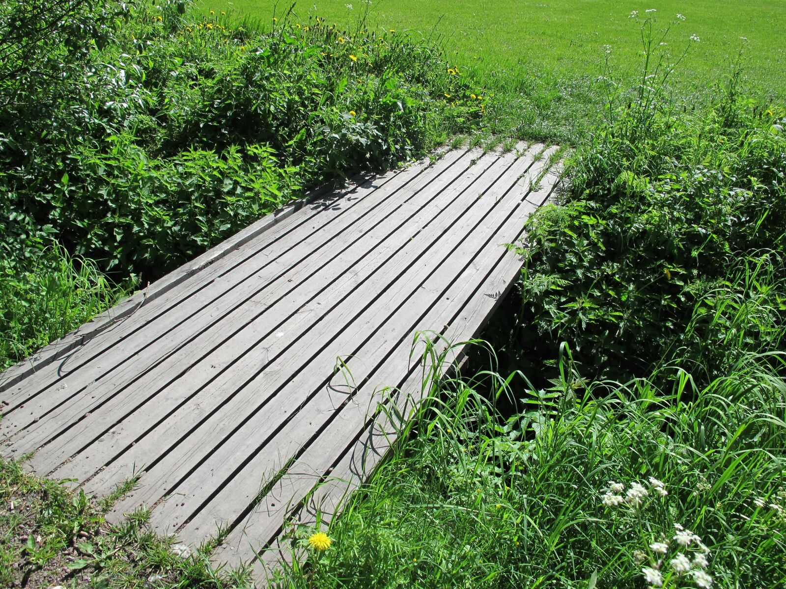 Canon PowerShot G12 sample photo. Bridge, langinkoski, finnish photography