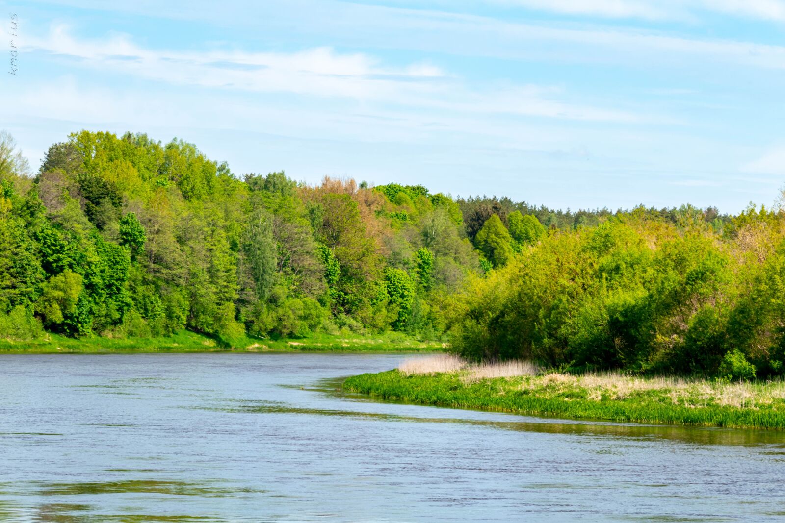 Nikon D5600 sample photo. River, sky, trees photography