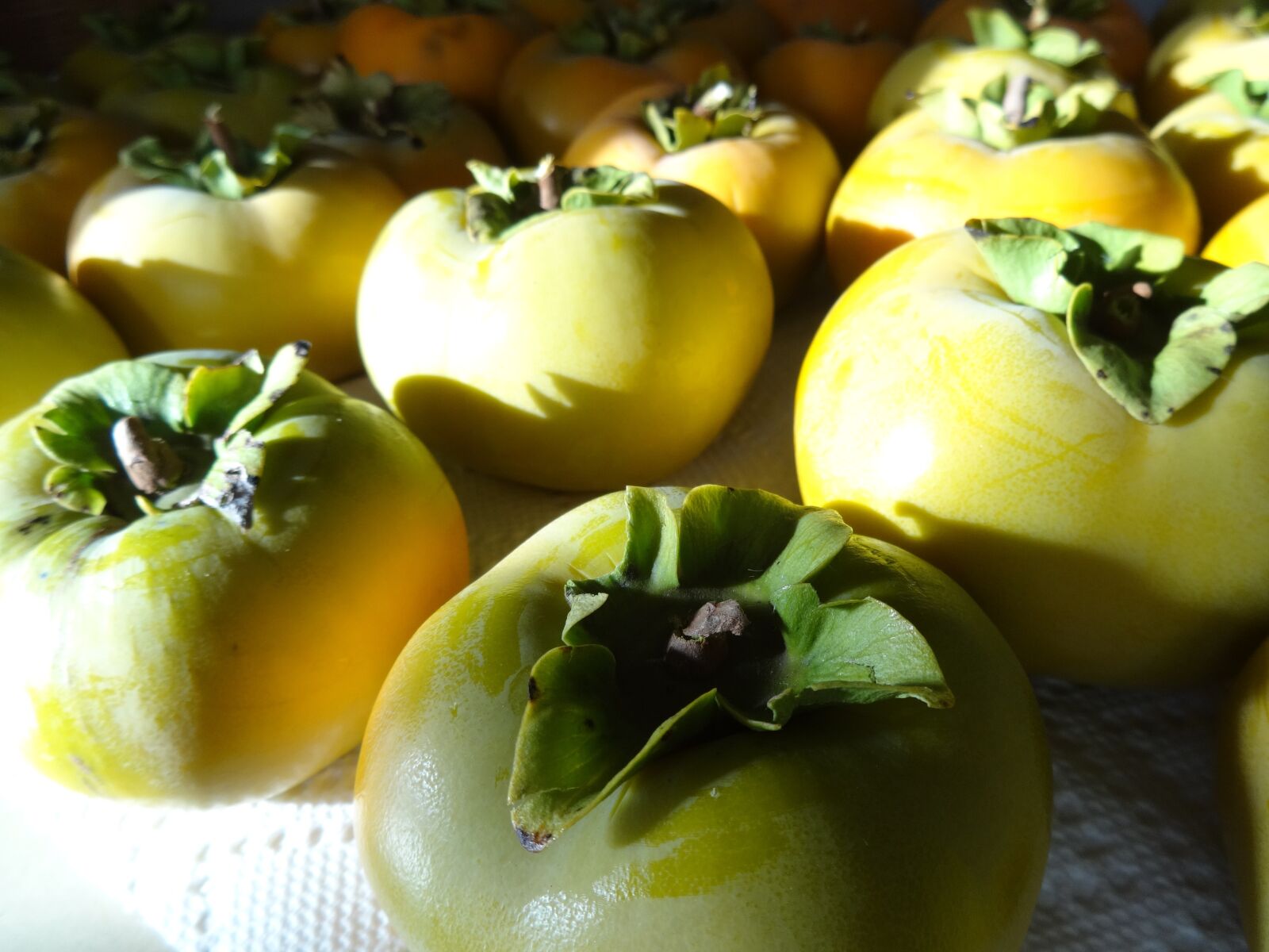 Sony Cyber-shot DSC-WX80 sample photo. Persimmons, fruit, fresh photography