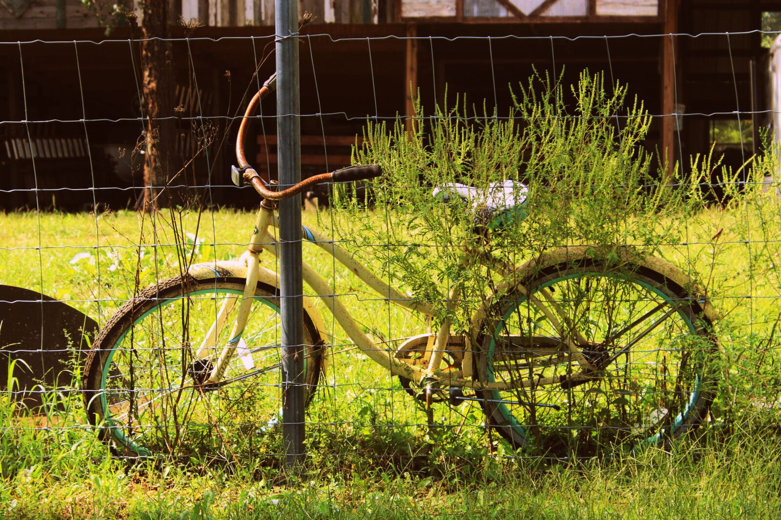 Canon EOS 1200D (EOS Rebel T5 / EOS Kiss X70 / EOS Hi) sample photo. Bike, bicycle, old photography