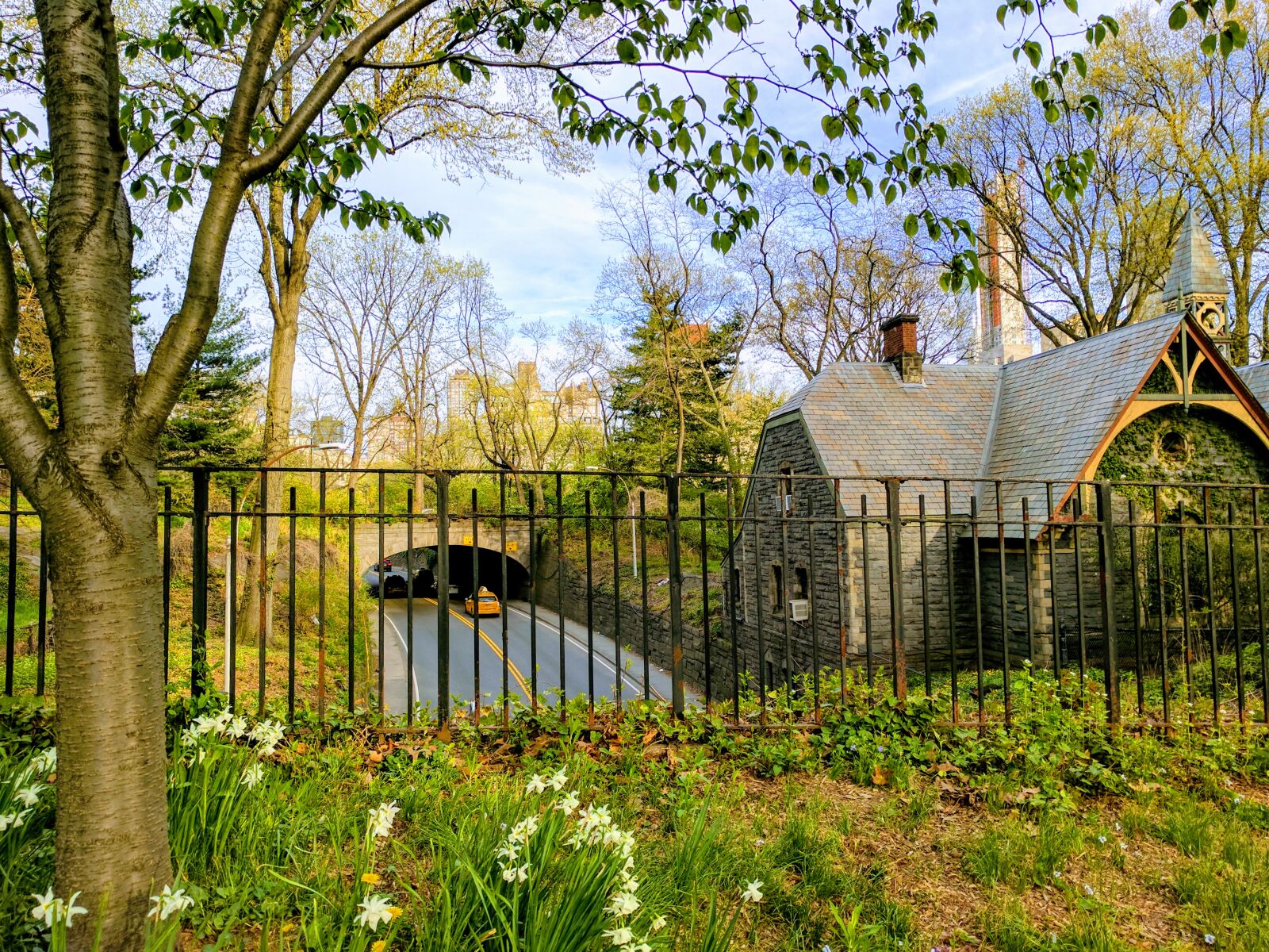 Google Pixel sample photo. City, nyc, park, road photography