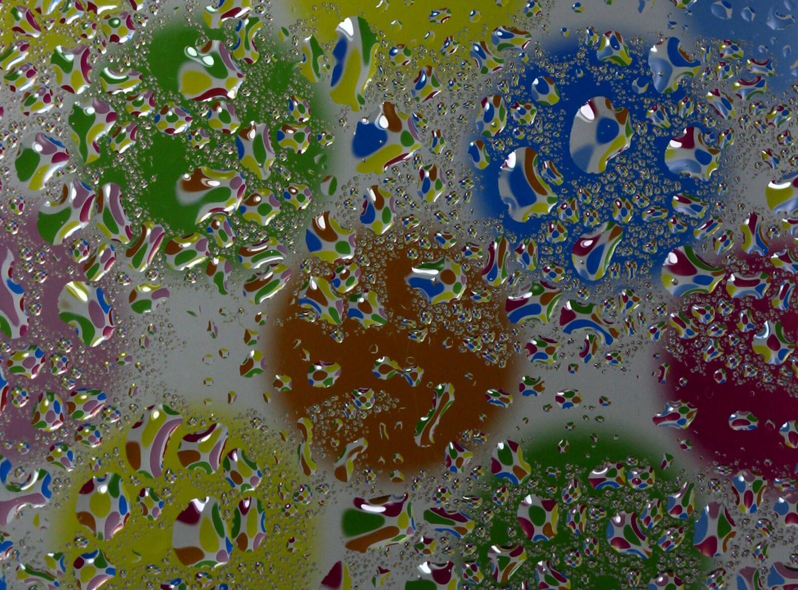 Canon EF-S 60mm F2.8 Macro USM sample photo. Drops, macro, refractive photography