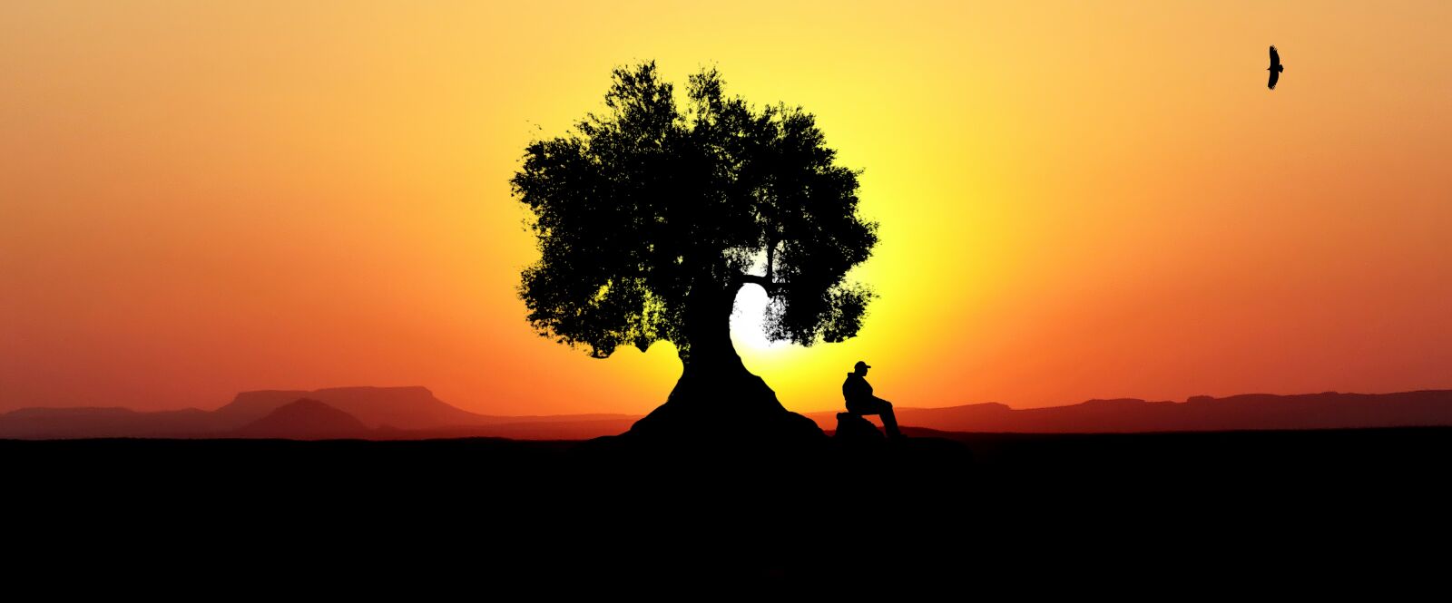Panasonic Lumix DMC-FZ200 sample photo. Sunset, olivier, tree photography