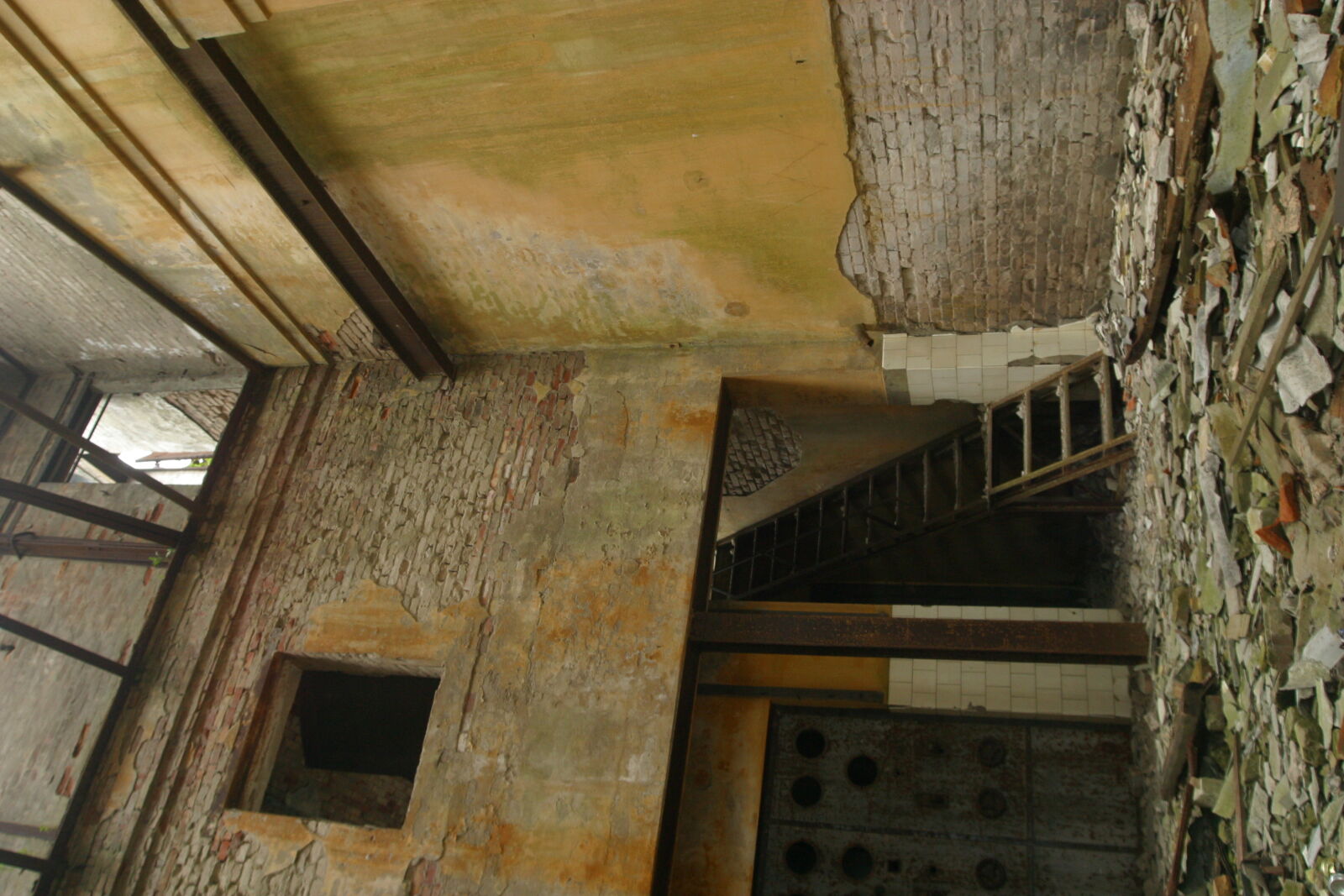 Canon EOS D60 sample photo