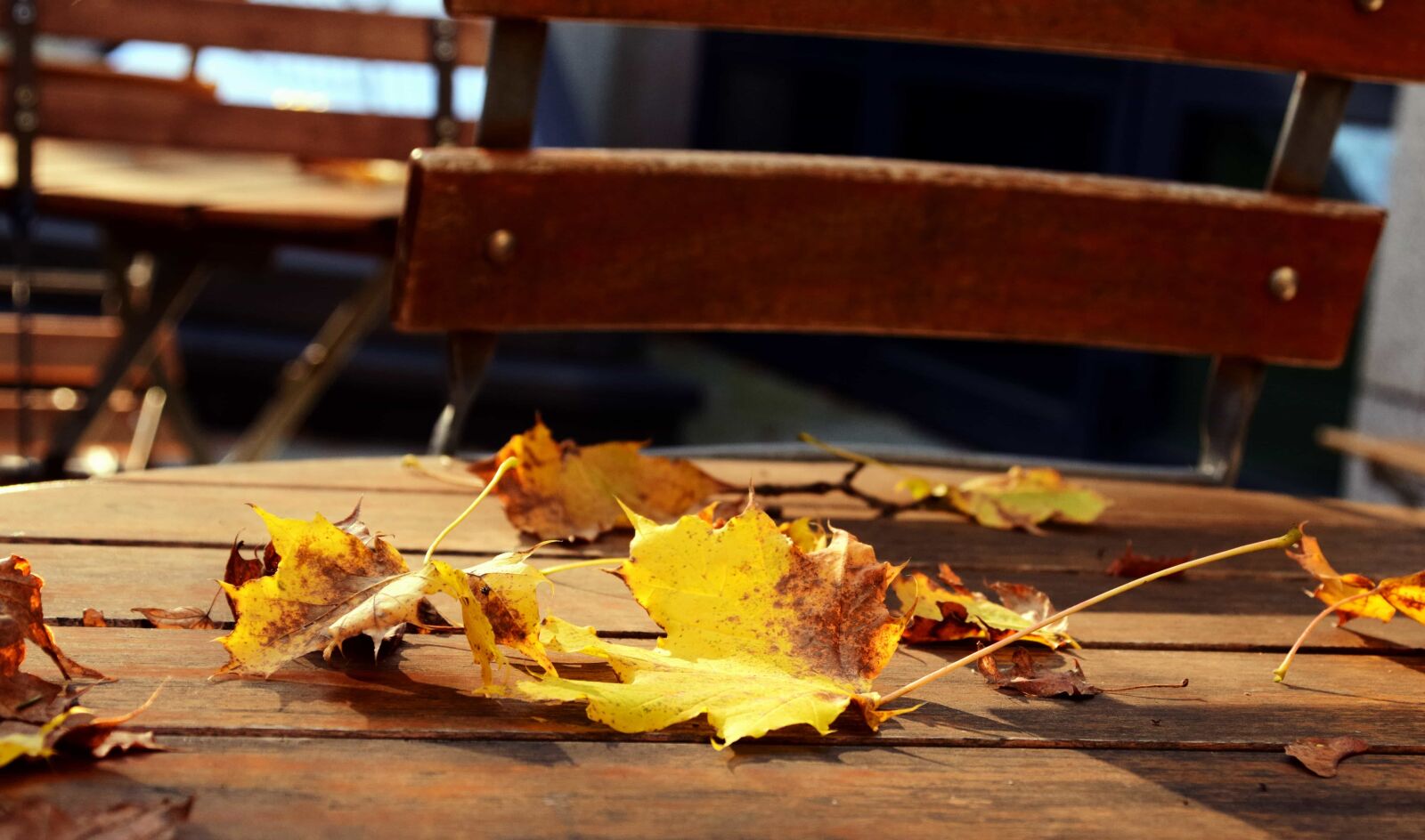 Nikon D3300 sample photo. Wood, table, autumn, chair photography