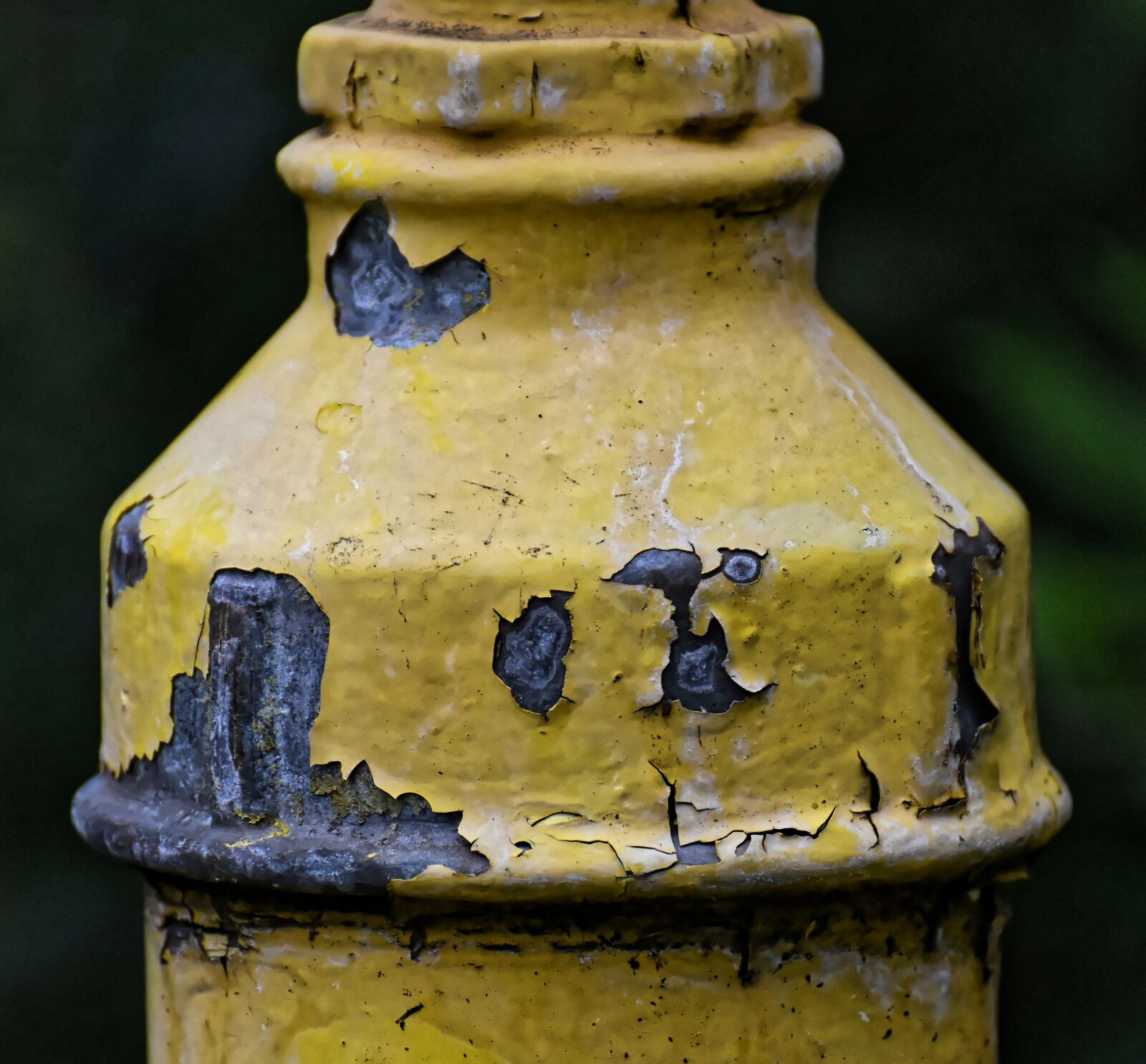 Nikon D7200 sample photo. Transience, decay, water pipe photography