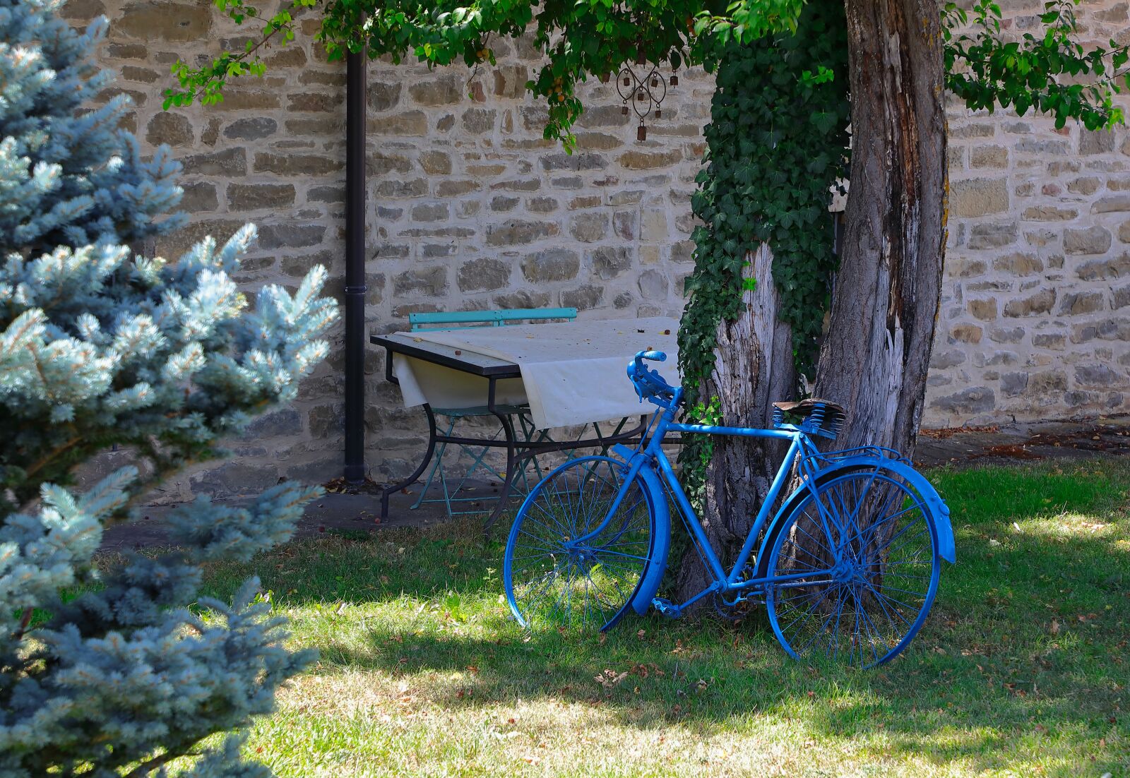 Canon EF 24-105mm F4L IS II USM sample photo. Bicycle, blue, vintage photography