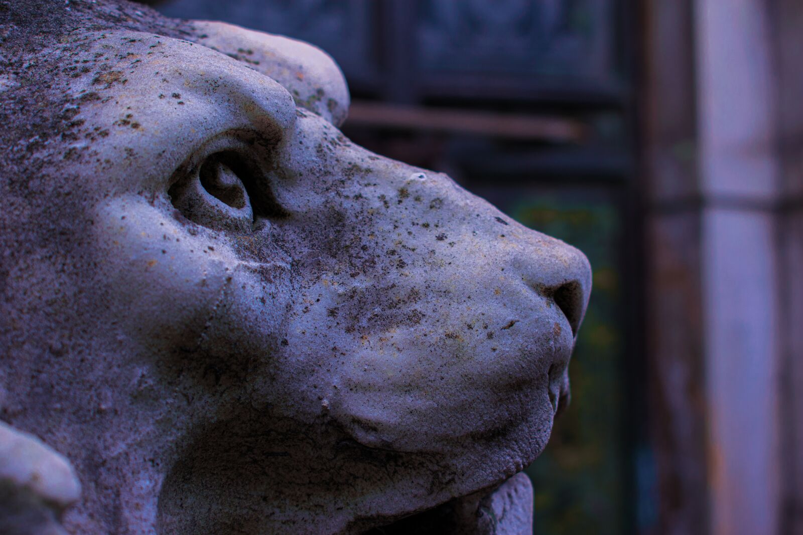 Nikon D3300 sample photo. Statue, sculpture, stone photography