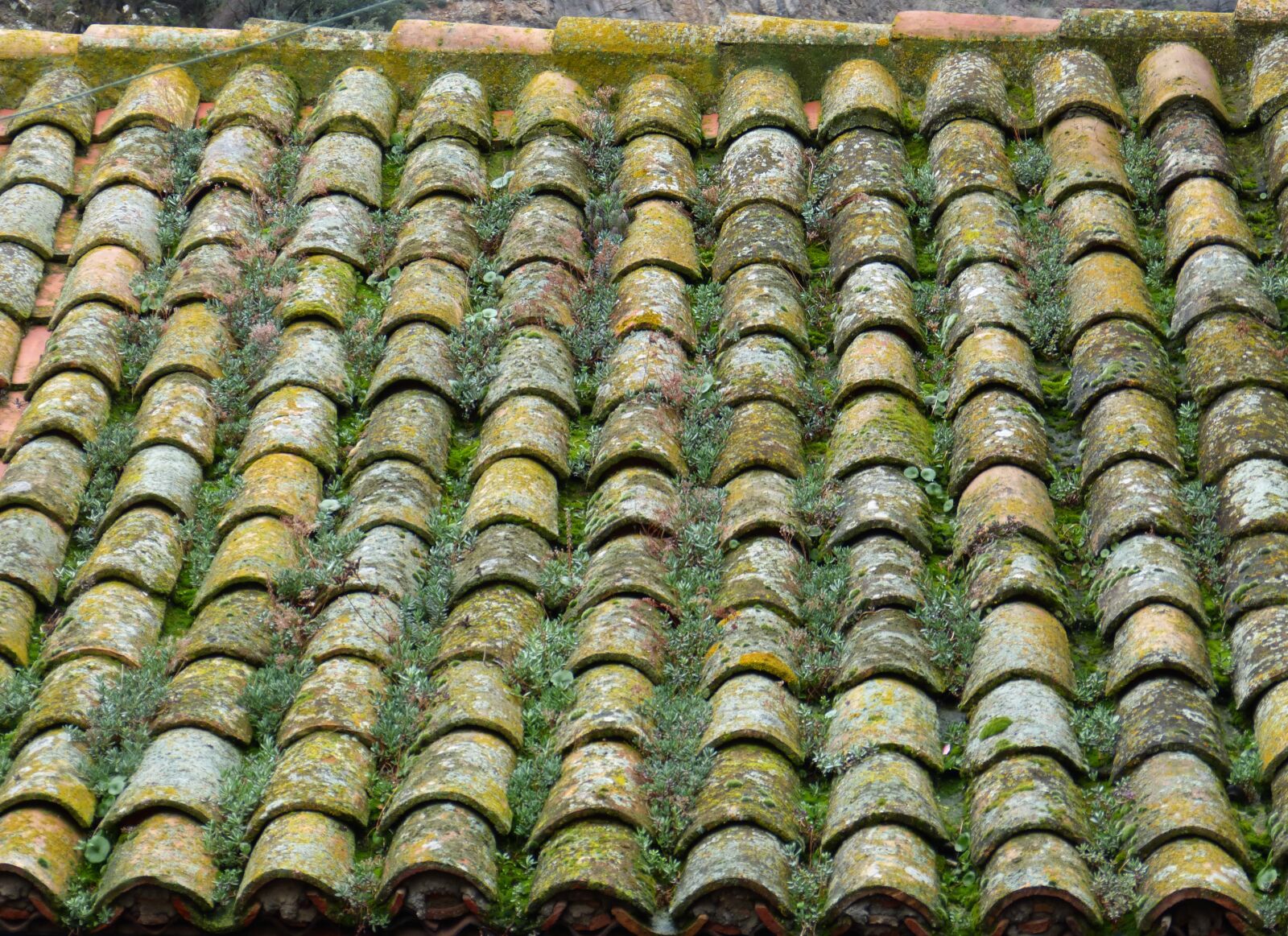Panasonic DMC-FZ62 sample photo. Roof, texas, arab tiles photography