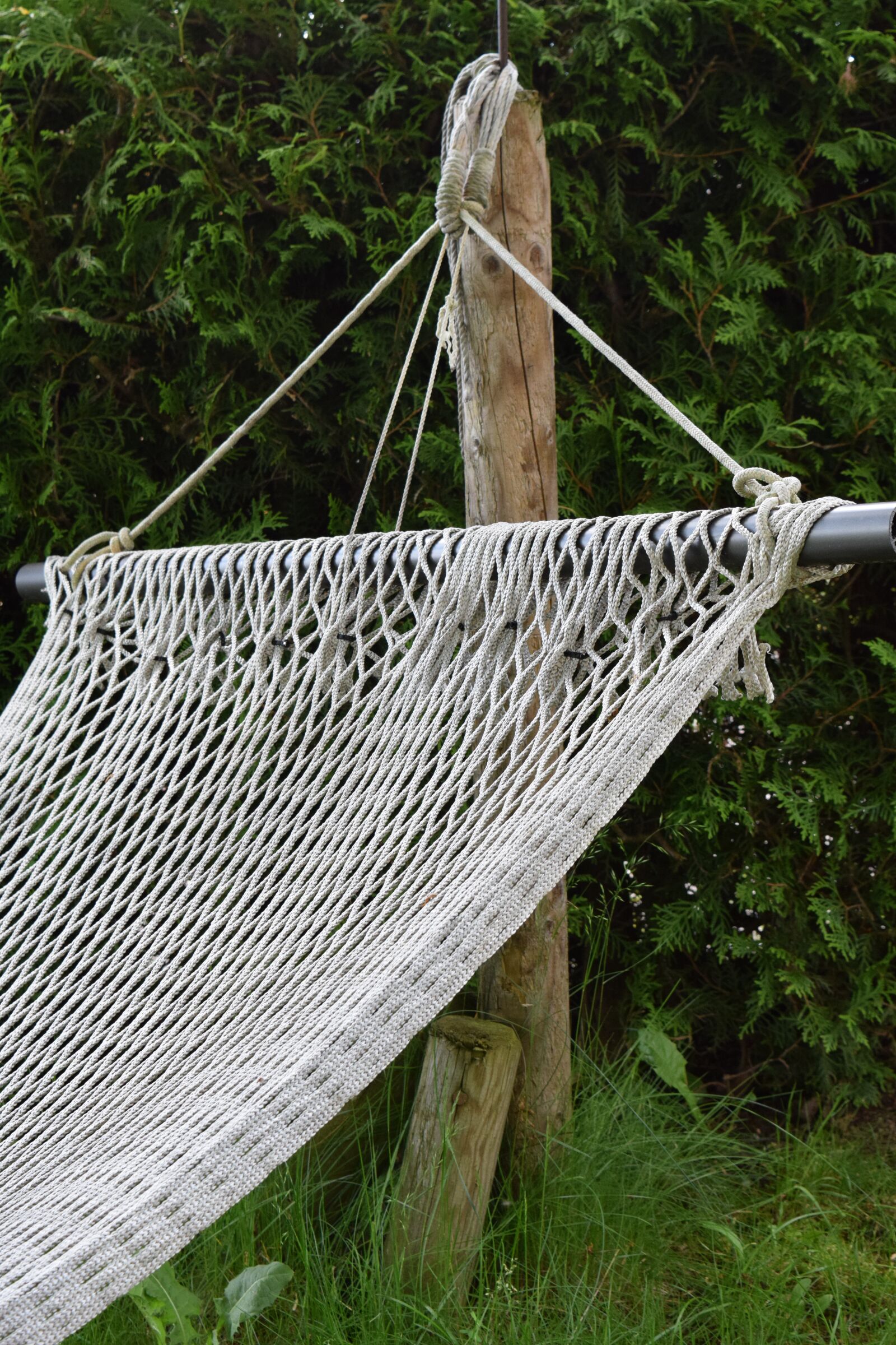 Nikon D3300 sample photo. Hammock, web, resting place photography