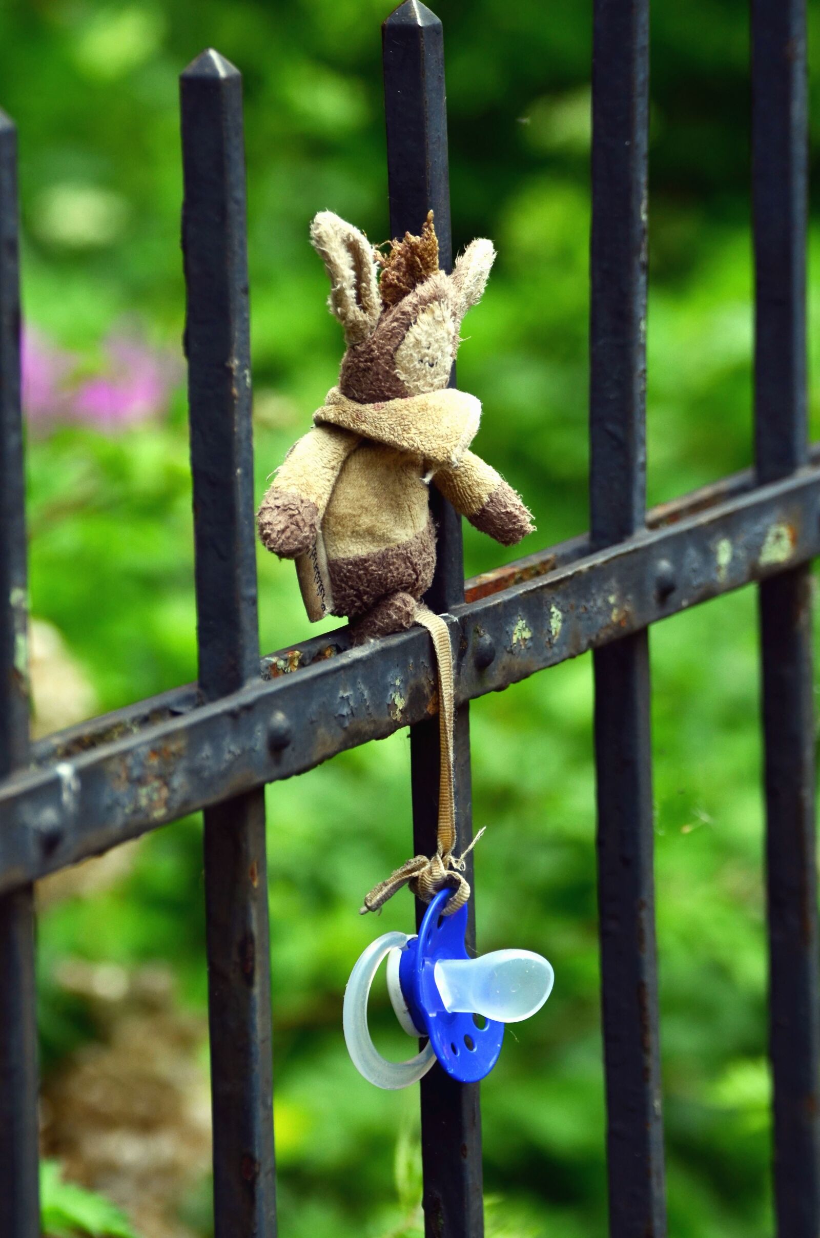 Nikon D5100 sample photo. Toy, pacifier, fences, metal photography