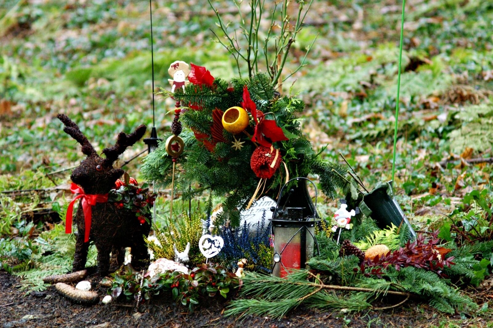 KONICA MINOLTA DYNAX 7D sample photo. Cemetery, mourning, old cemetery photography