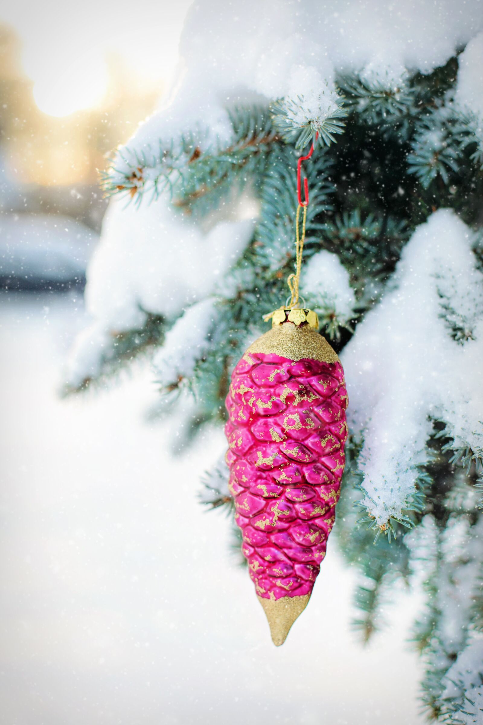 Canon EF 50mm F1.4 USM sample photo. Christmas ornament, pine cone photography